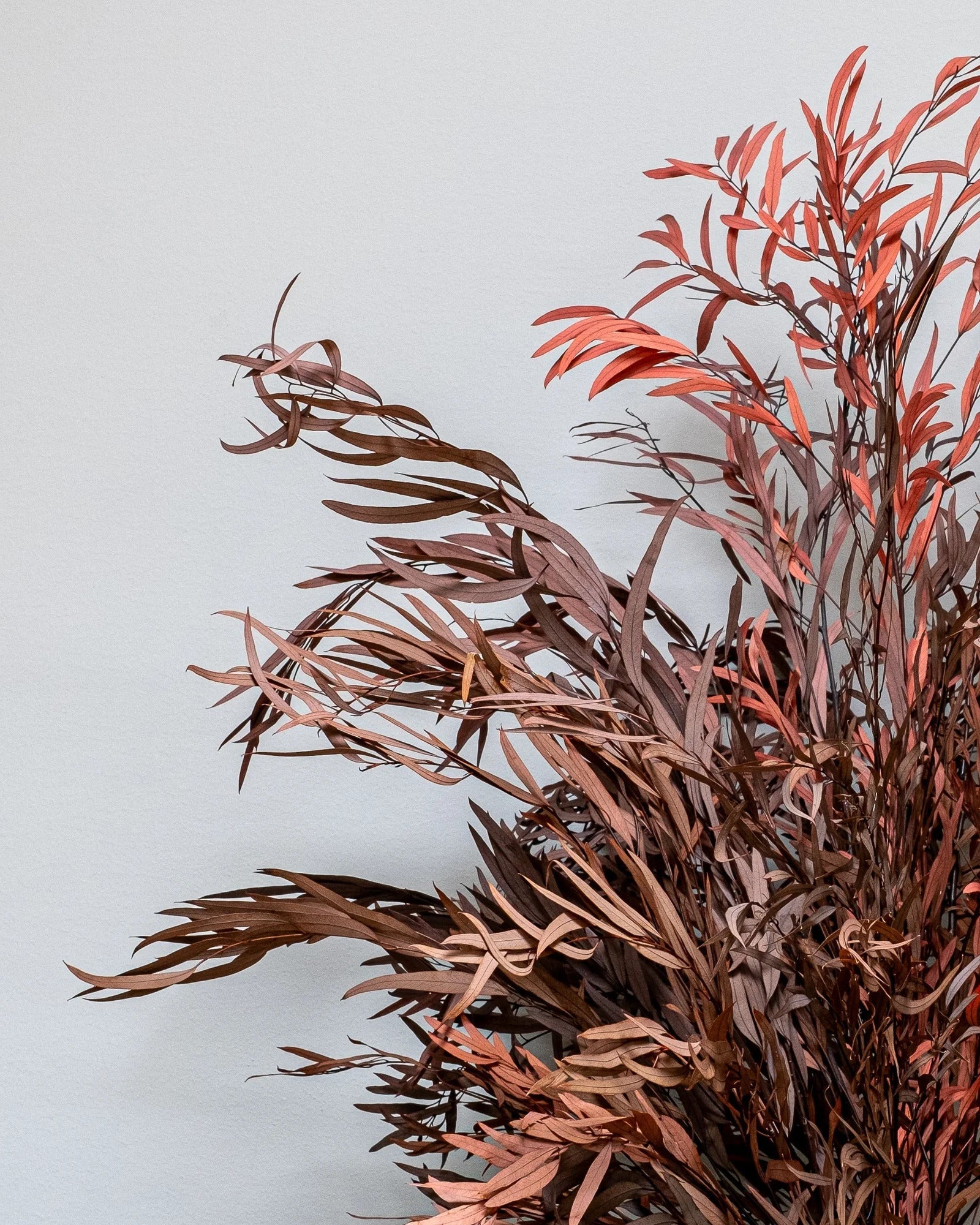 Konserverade blommor – guide för hem, present och event