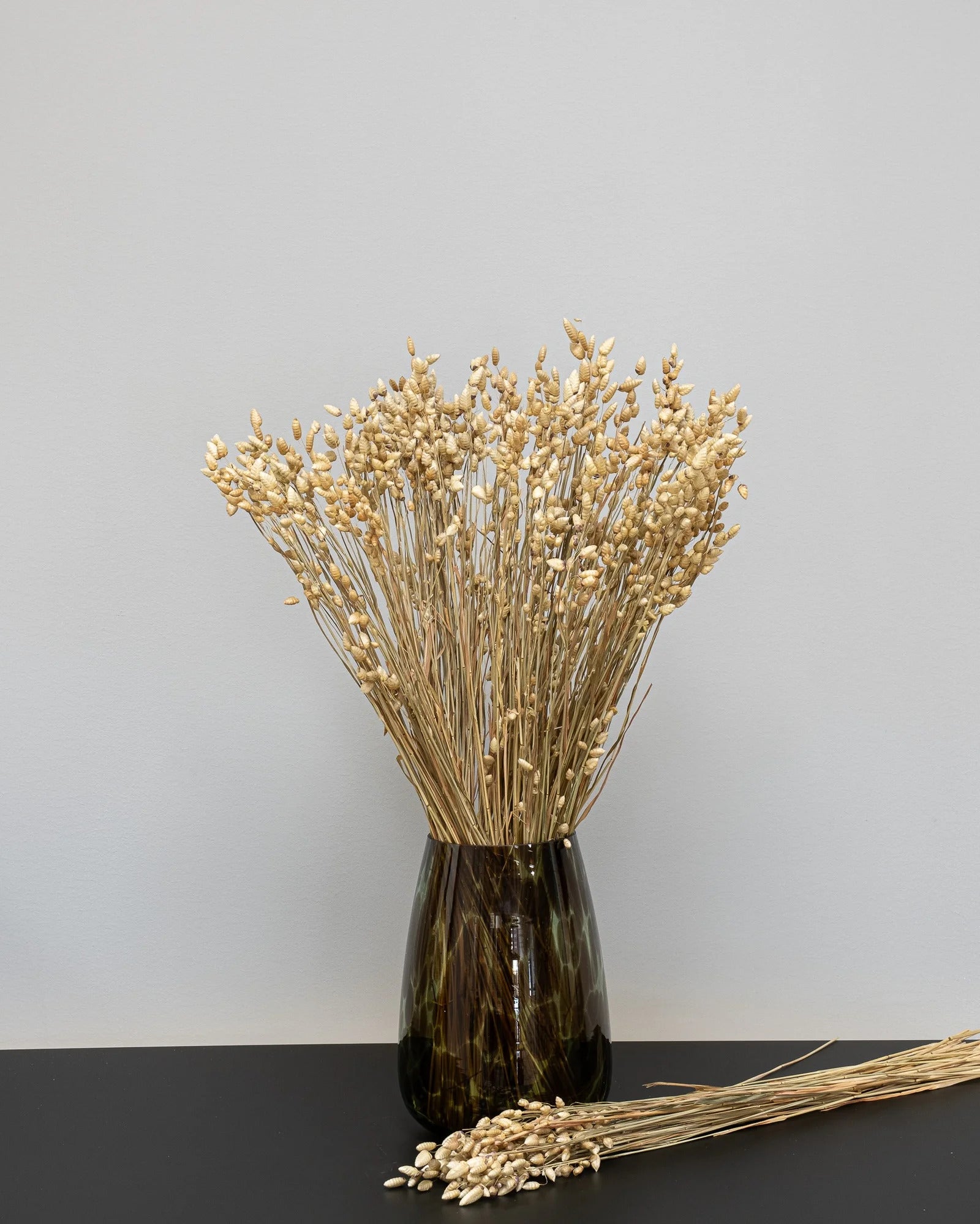 Närbild på torkade blommor i Briza
