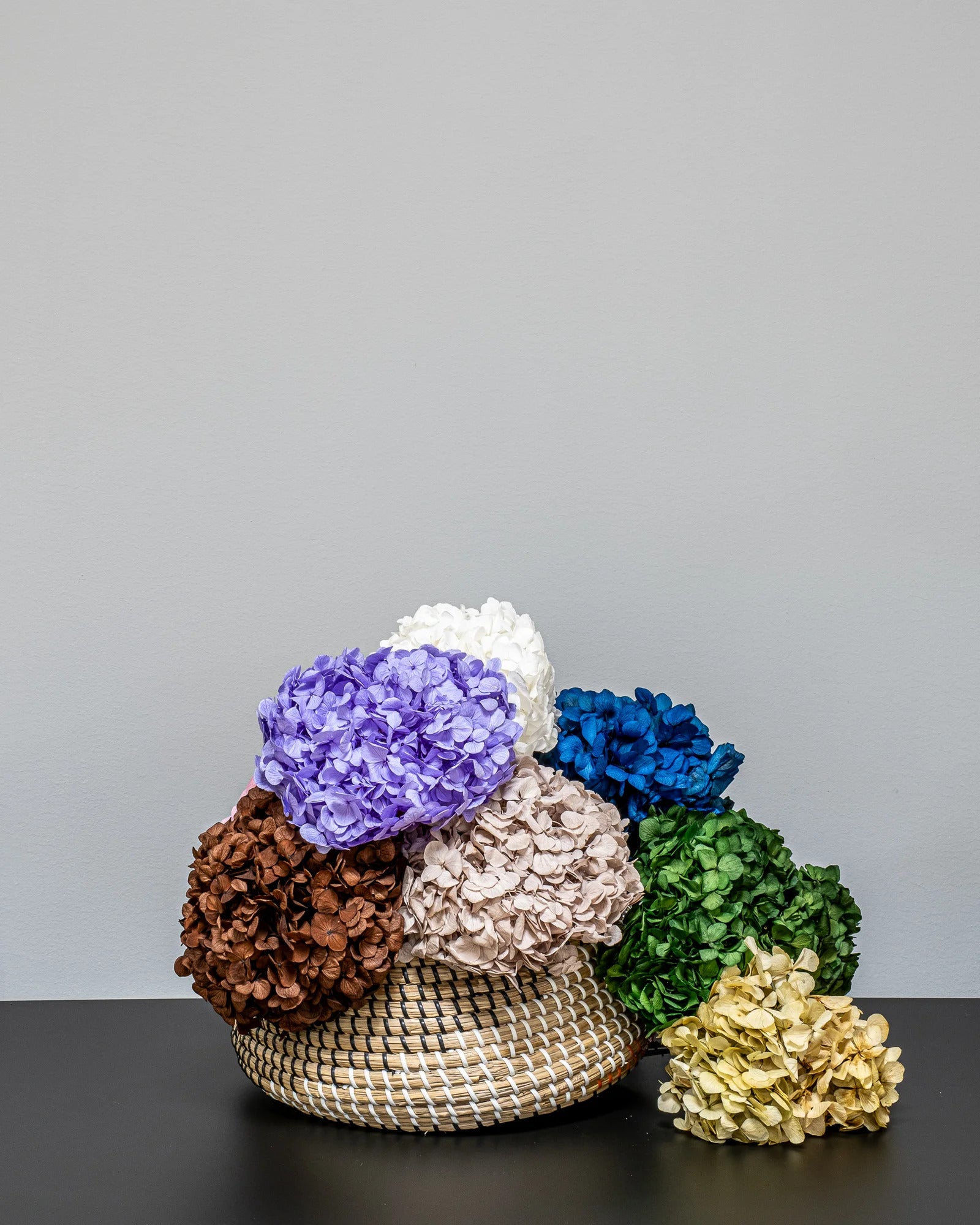 Premium Hortensia – konserverad blomma från Forever Flora i lila