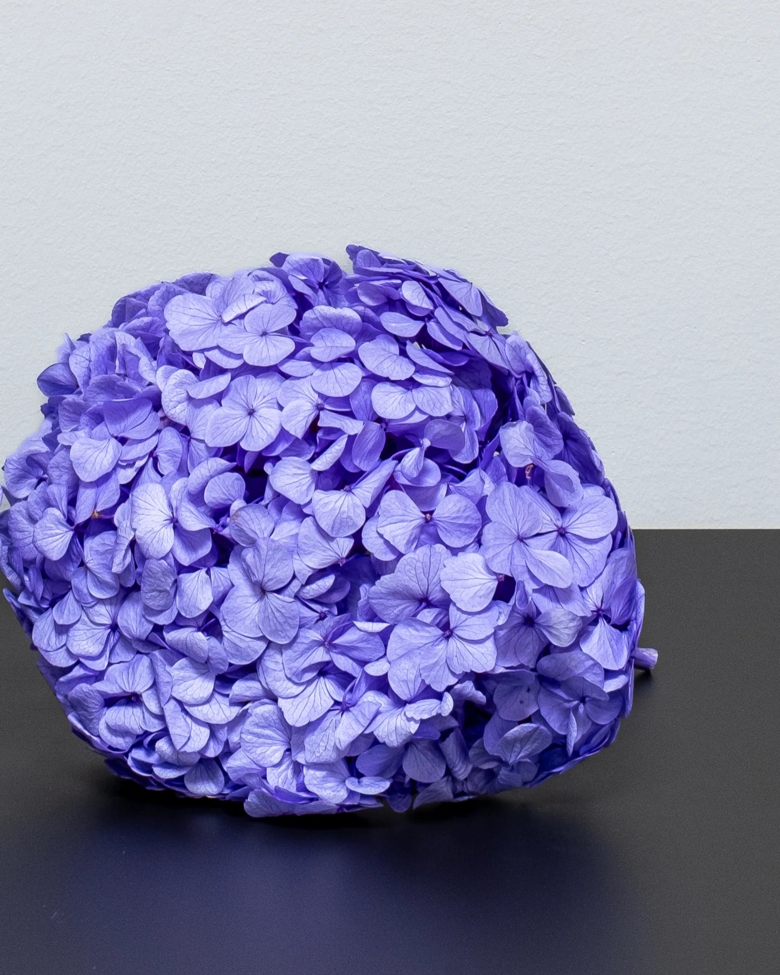 Premium Hortensia för vaser, buketter och eventdekor