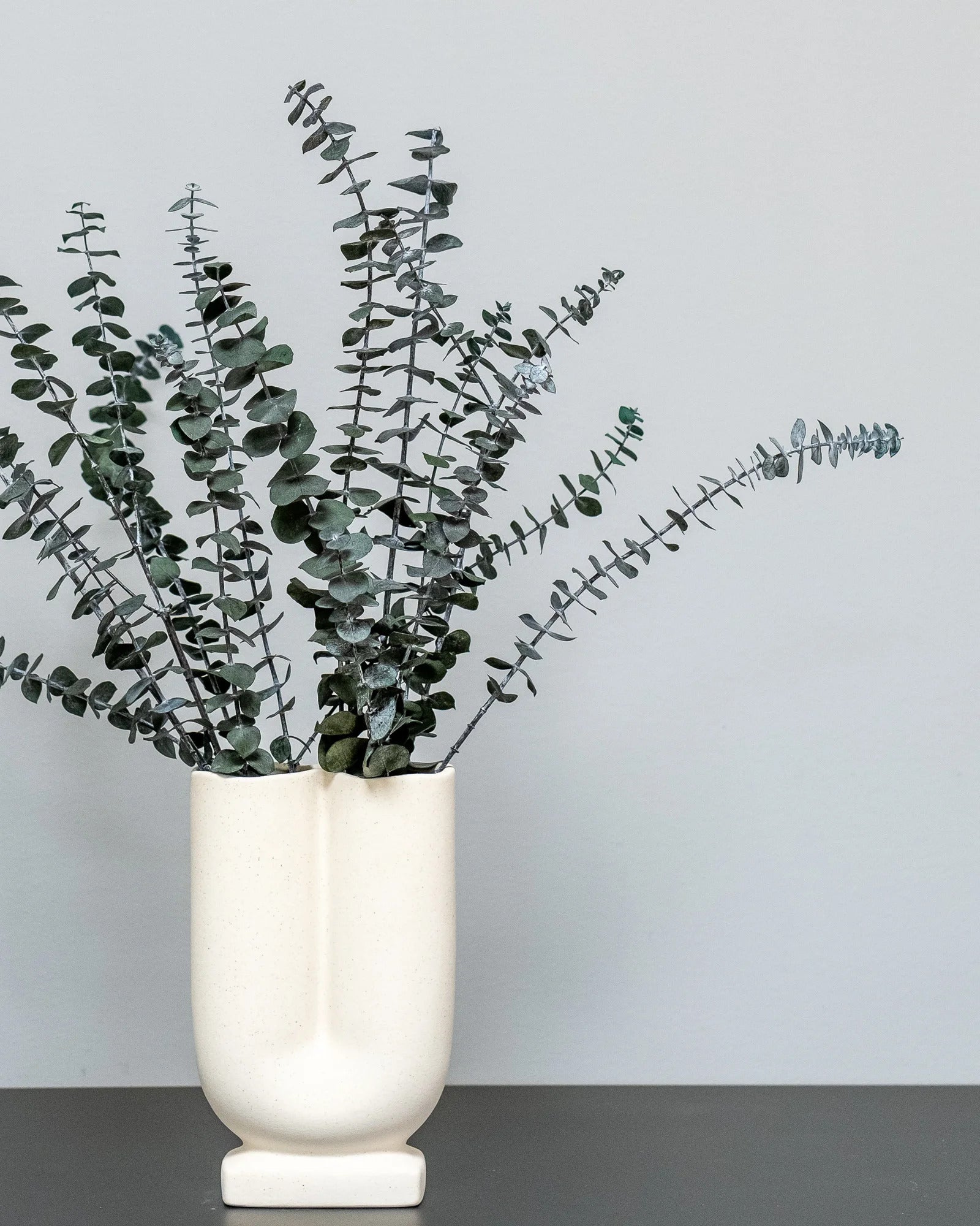 Närbild på detaljerna i Eucalyptus Baby Blue