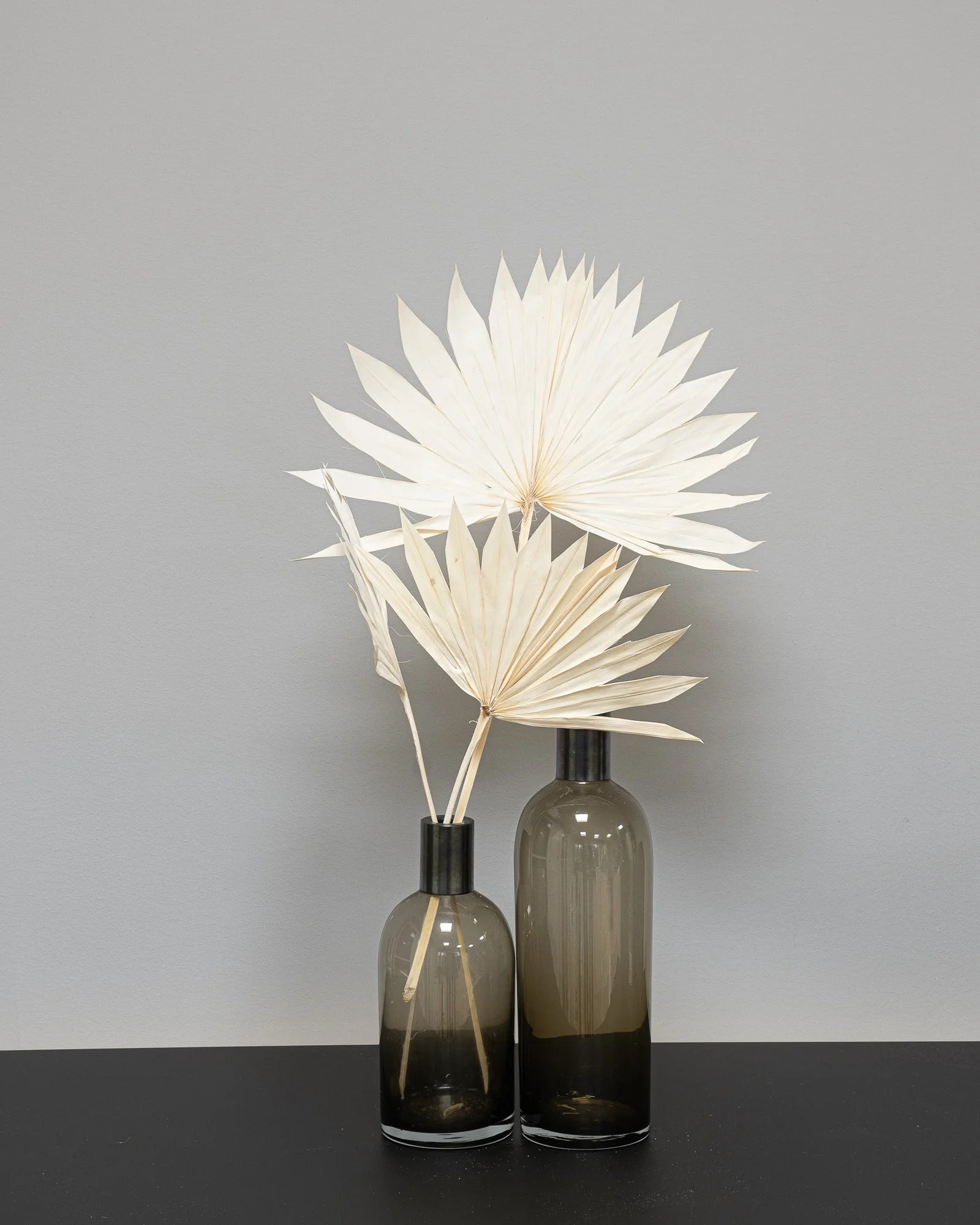 Palm 3 st. – torkade palmblad, 40–60 cm