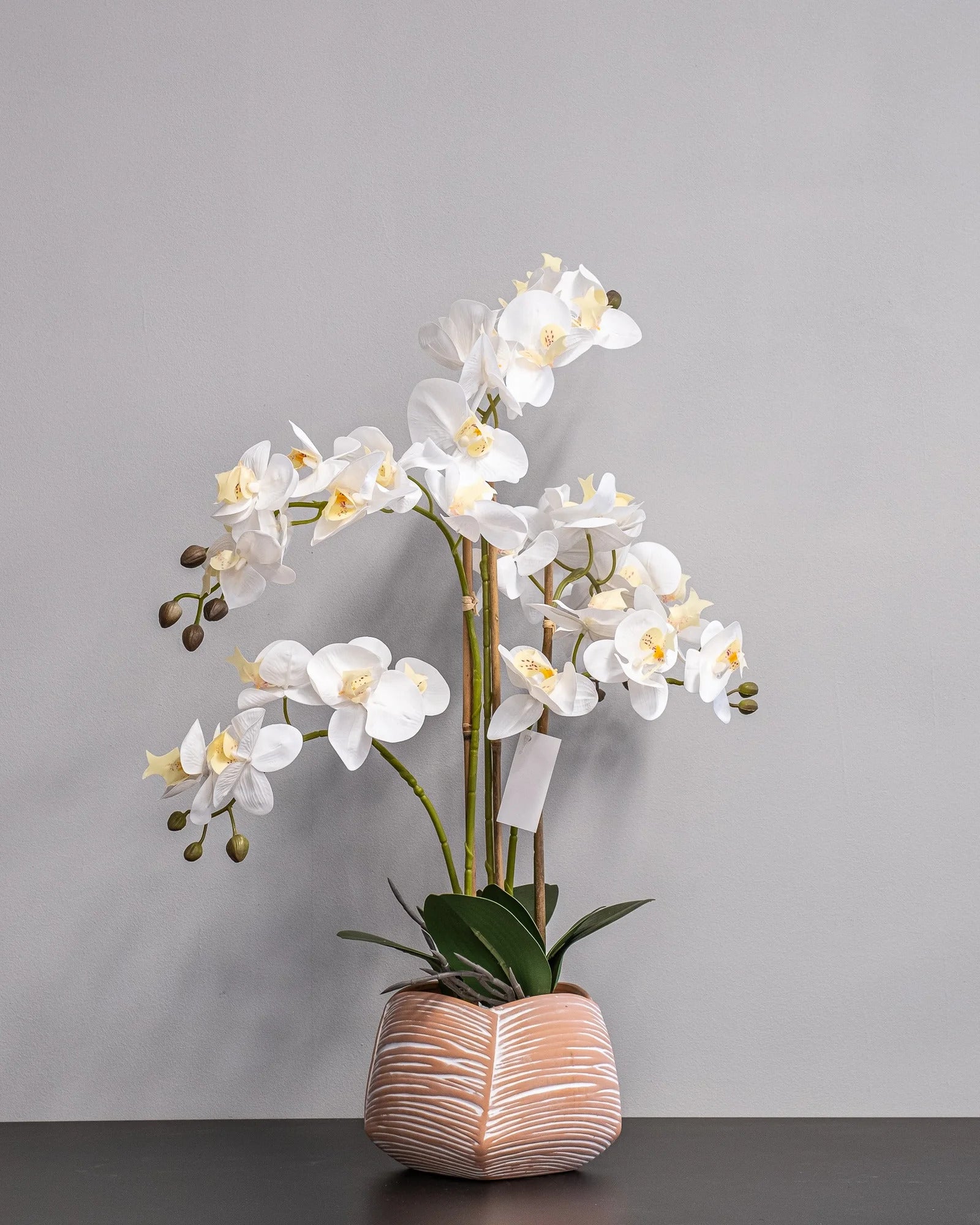 Närbild på detaljerna i Konstgjord orkidé med vita blommor – 40 × 60 cm