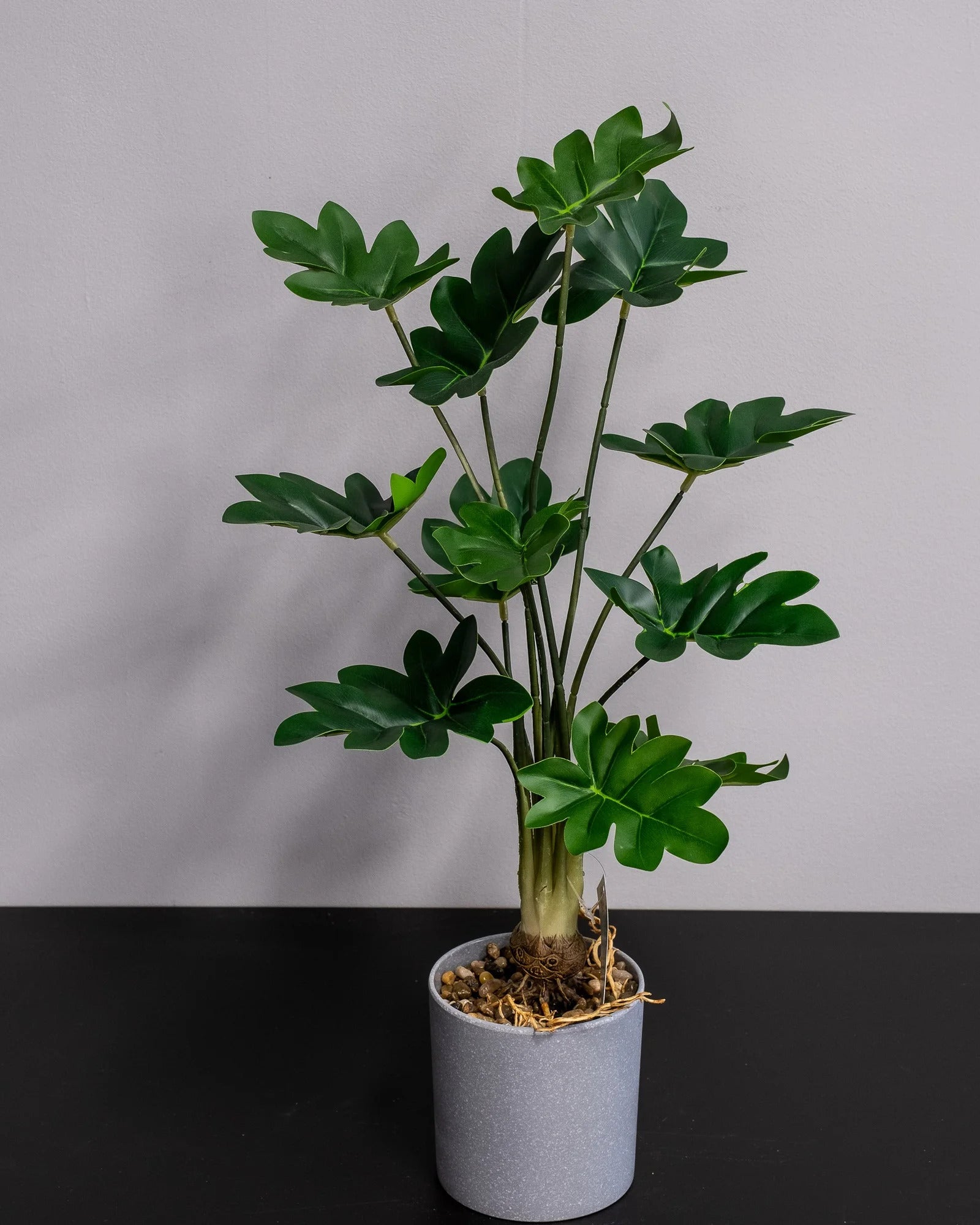 Philodendron som konstgjord växtdetalj för inomhusmiljö
