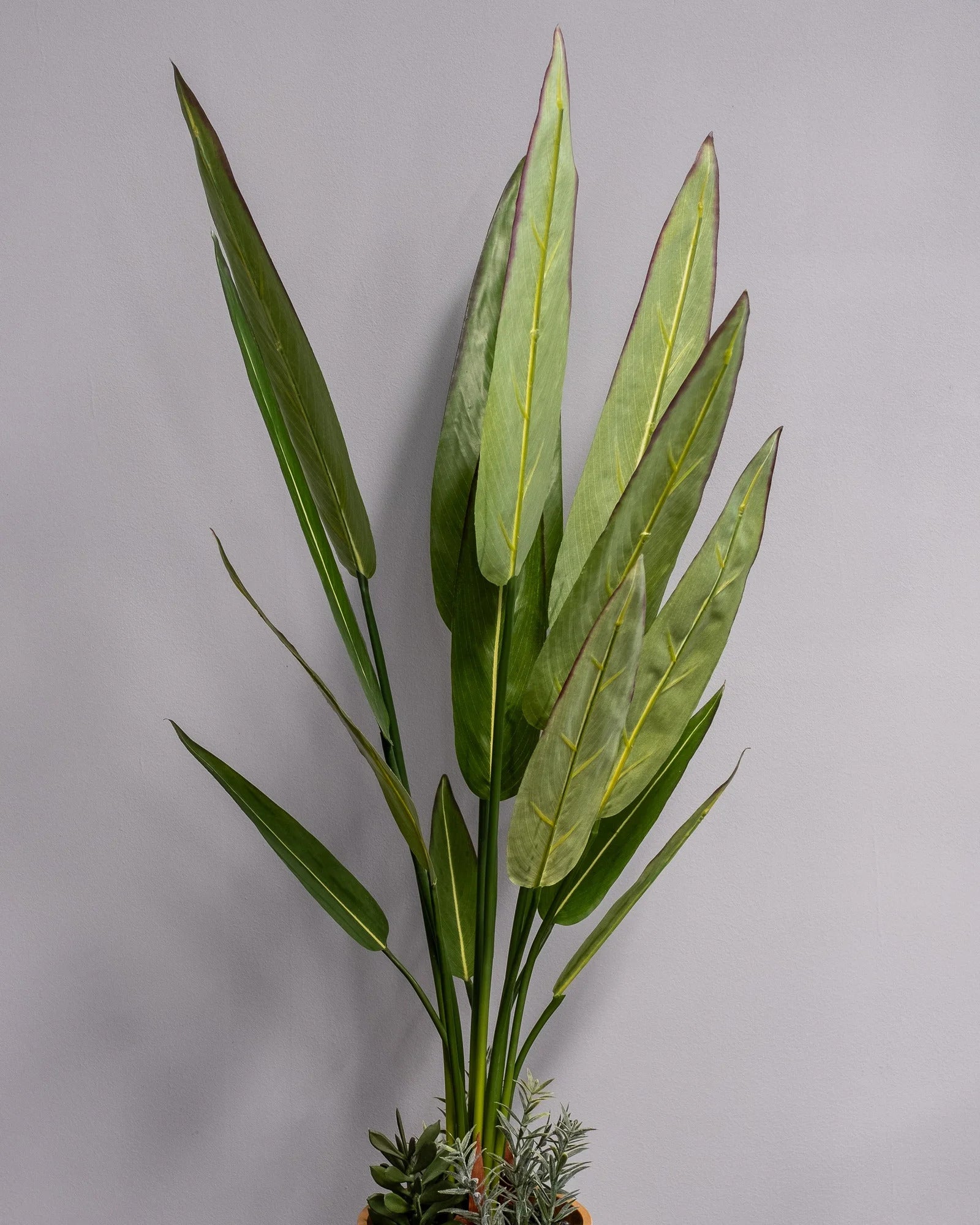 Detaljbild av Konstgjord Heliconia krukväxt med melaminkruka – 90 cm