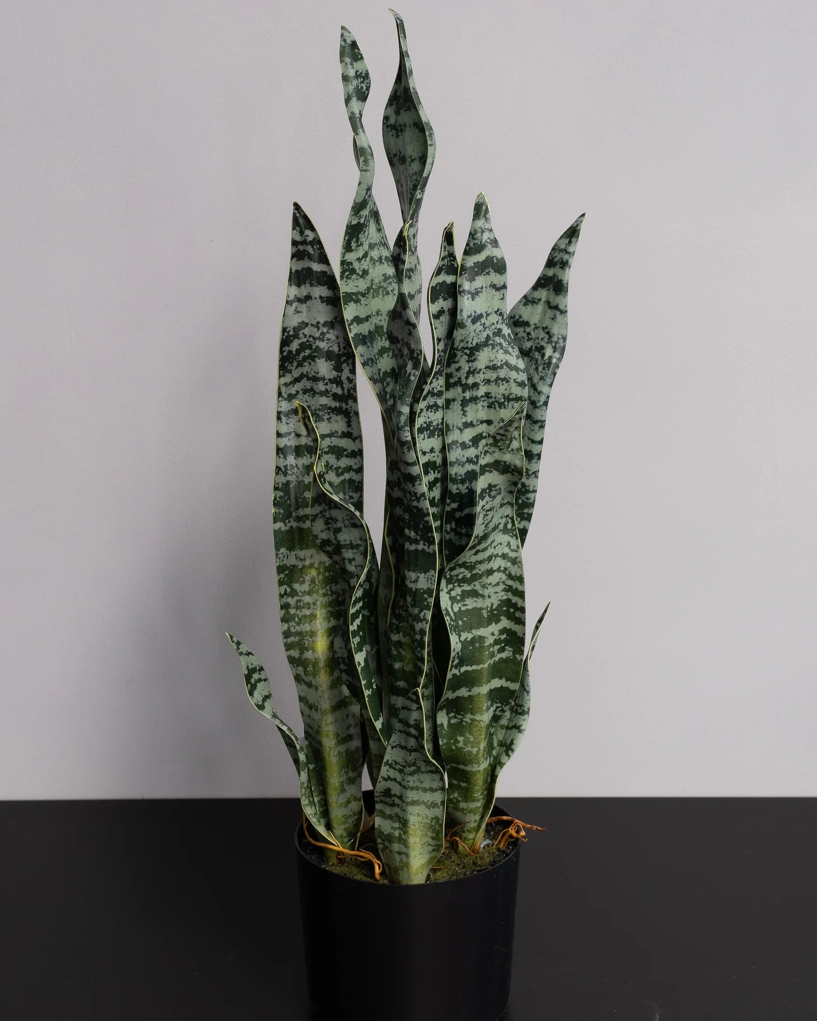 Detaljbild av Konstgjord Sansevieria zeylanica i plastkruka – 60 cm