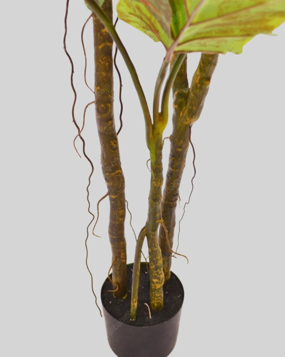 Colocasia som konstgjord växtdetalj för inomhusmiljö