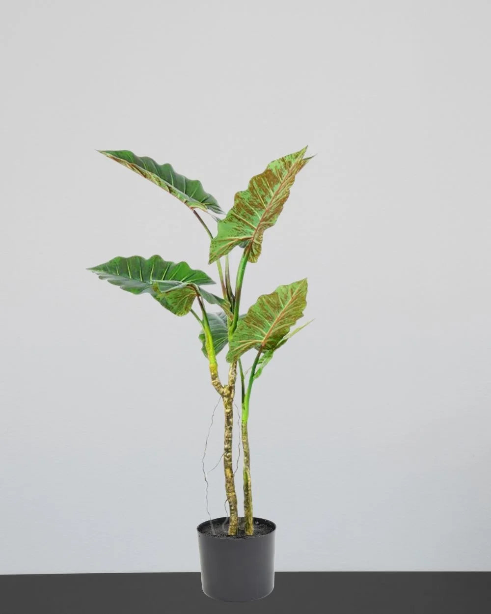 Konstgjort Colocasia träd med plastkruka som dekorativ produkt för hem och inredning