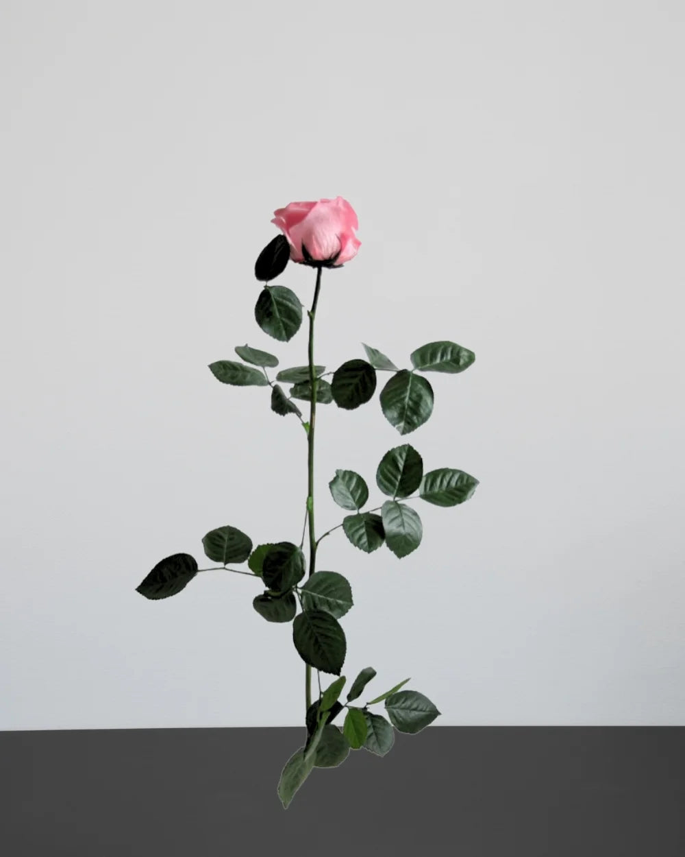 Konserverade rosor för bukett i Singel Evighetsros 60 cm
