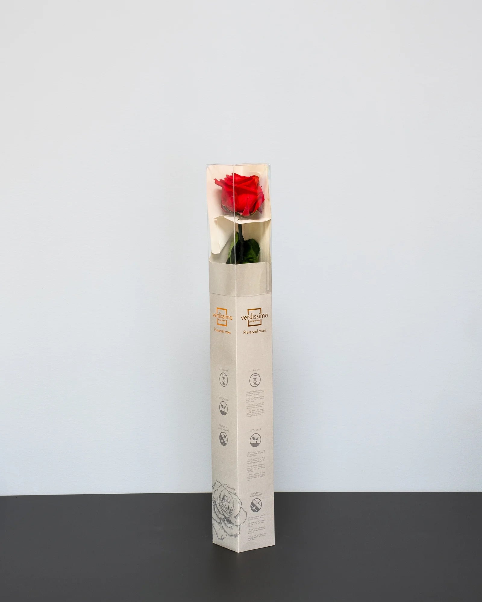 Produktvy med konserverad ros i Singel Evighetsros 60 cm