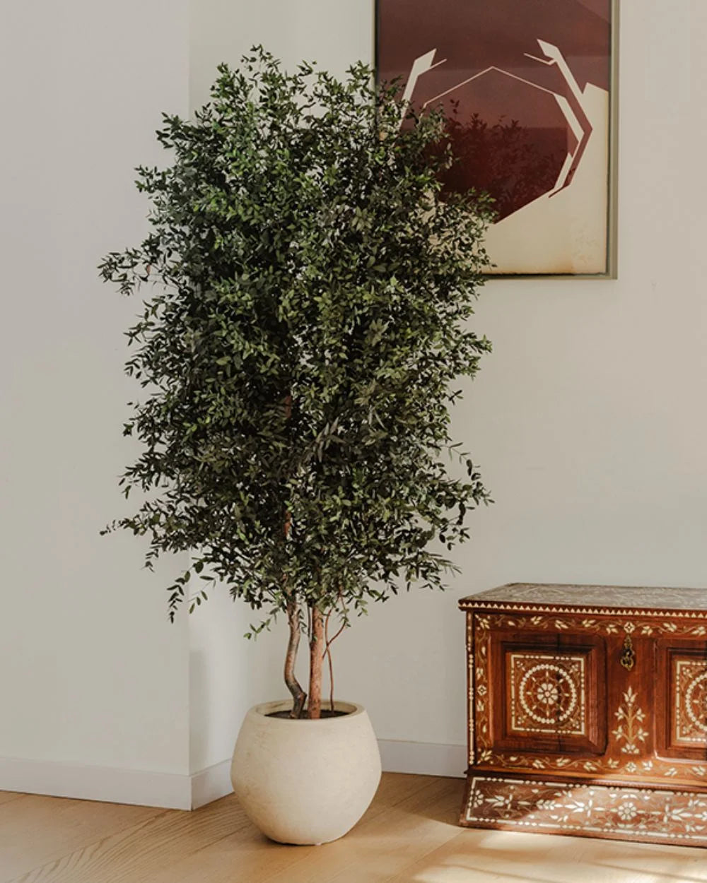 Konserverat eukalyptusträd Parvifolia – Slim med bevarad form för dekorativ placering