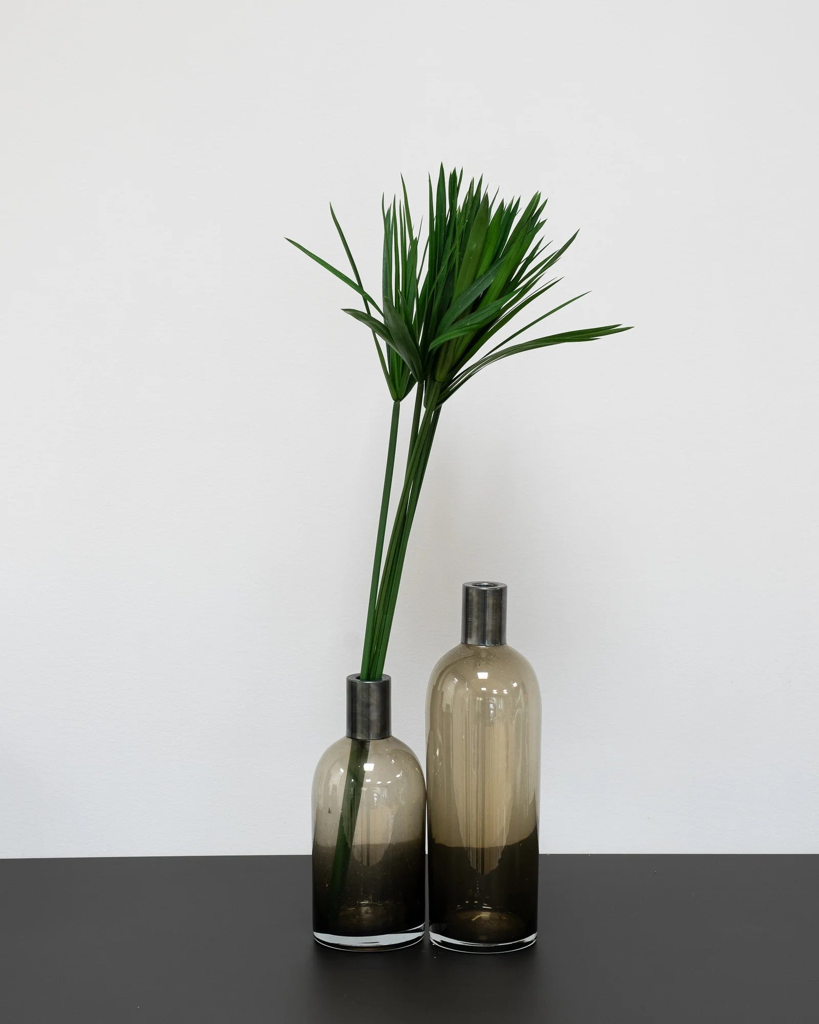 Papyrus för dekorativ styling i inomhusmiljö