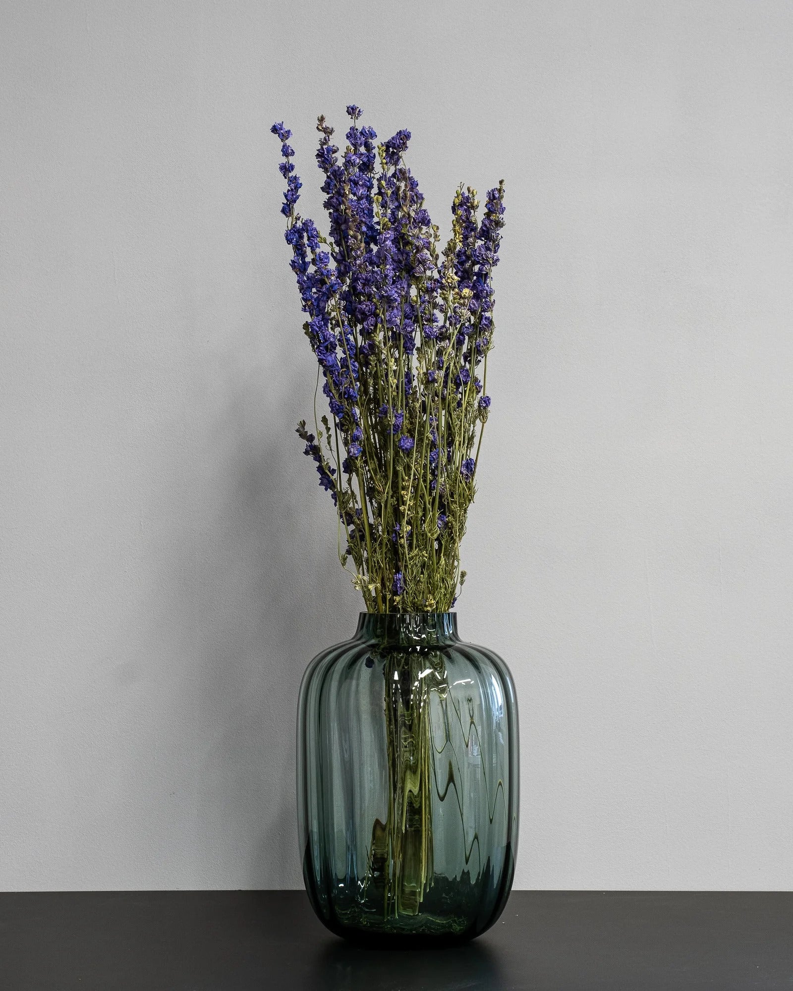 Närbild på torkade blommor i Torkade Delphinium – Riddarsporre