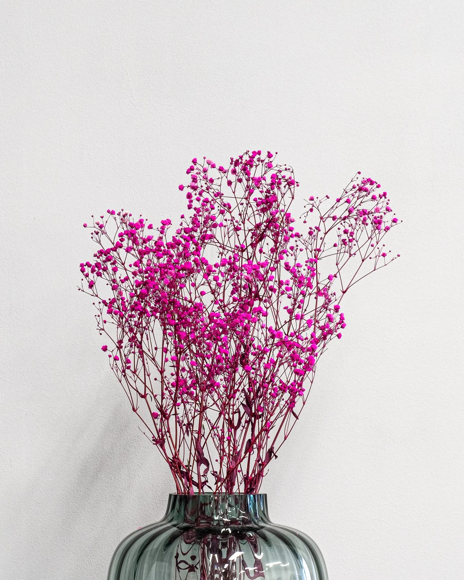 Slöjblommor – Gypsophila som dekorativ produkt från Forever Flora