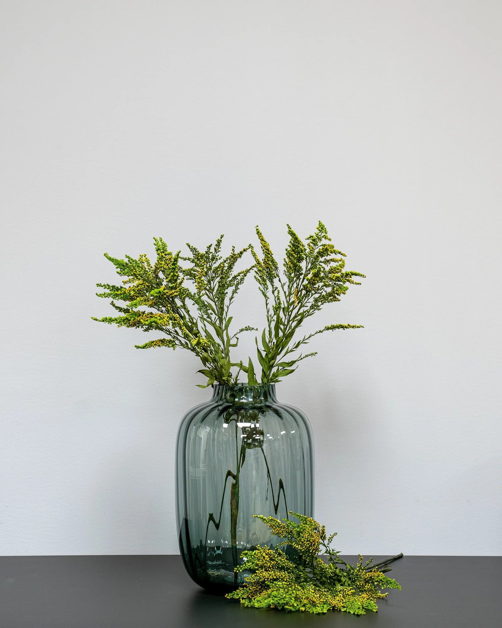 Solidago Grön för dekorativ styling i inomhusmiljö