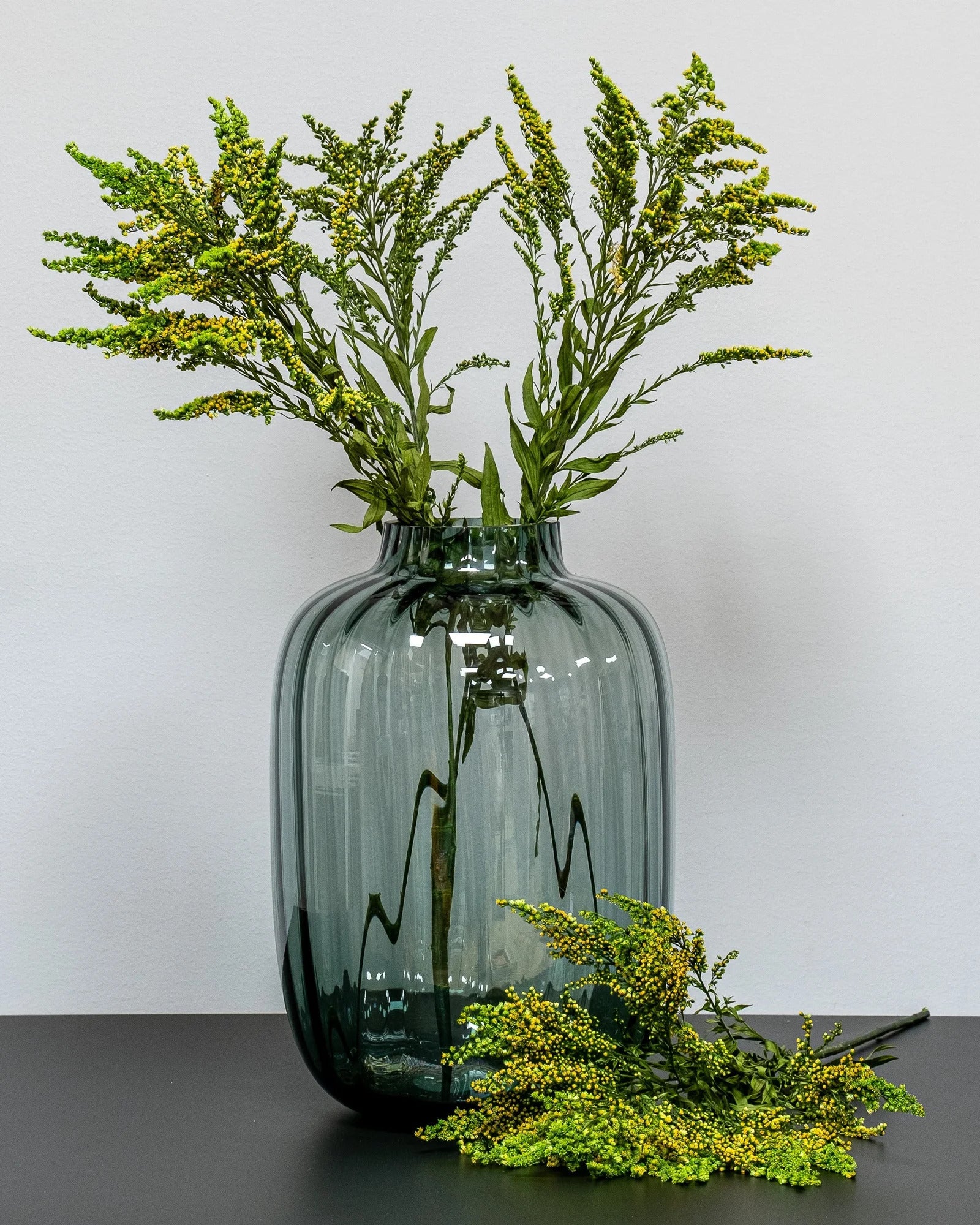 Närbild på detaljerna i Solidago Grön