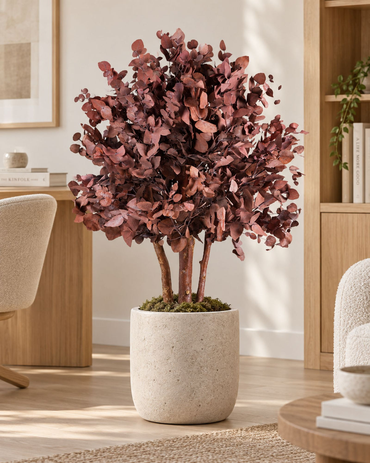 Preserved Eucalyptus Tree Populus – Shrub Tree