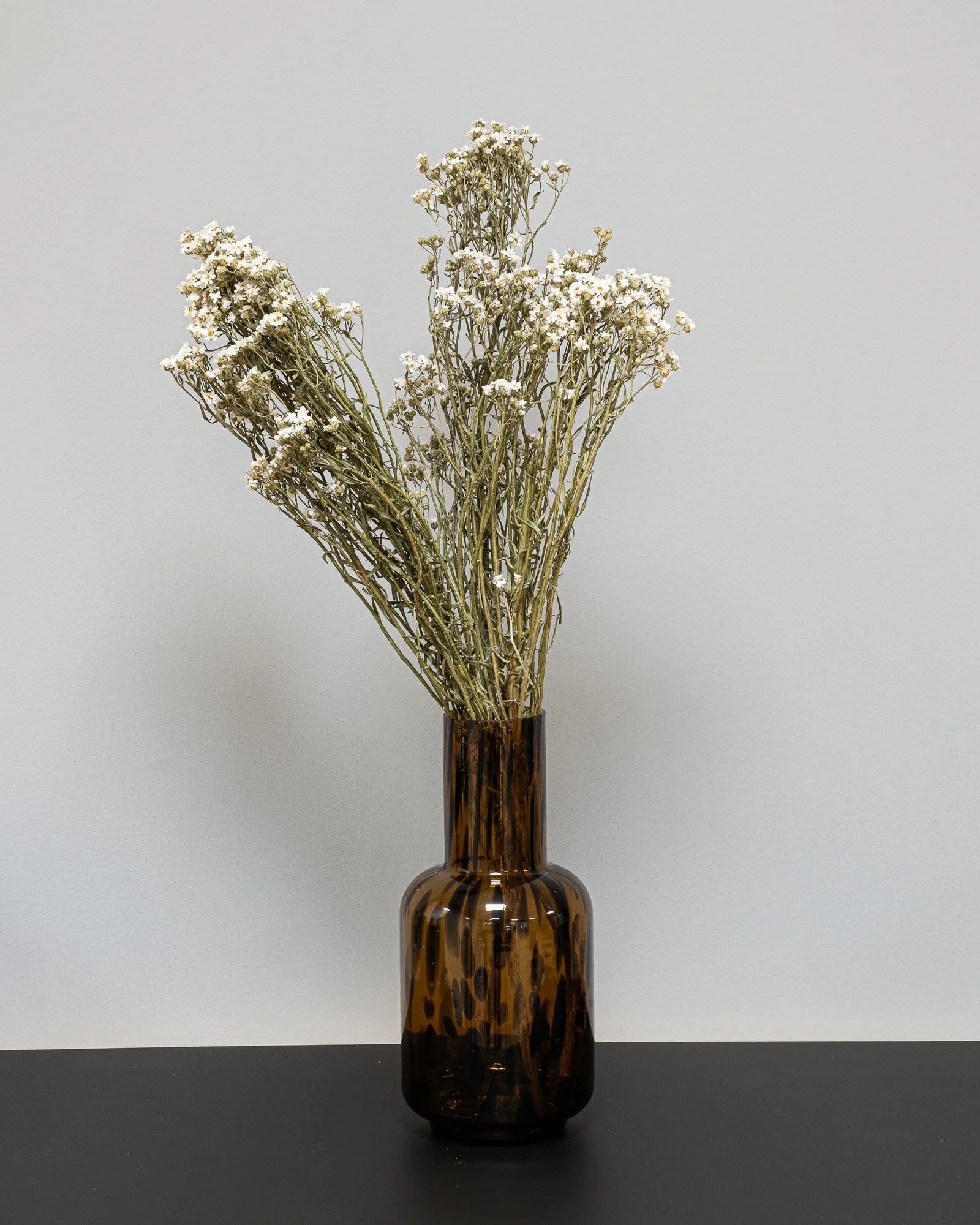 Ixodia – torkade blommor 2 st., ca 60 cm