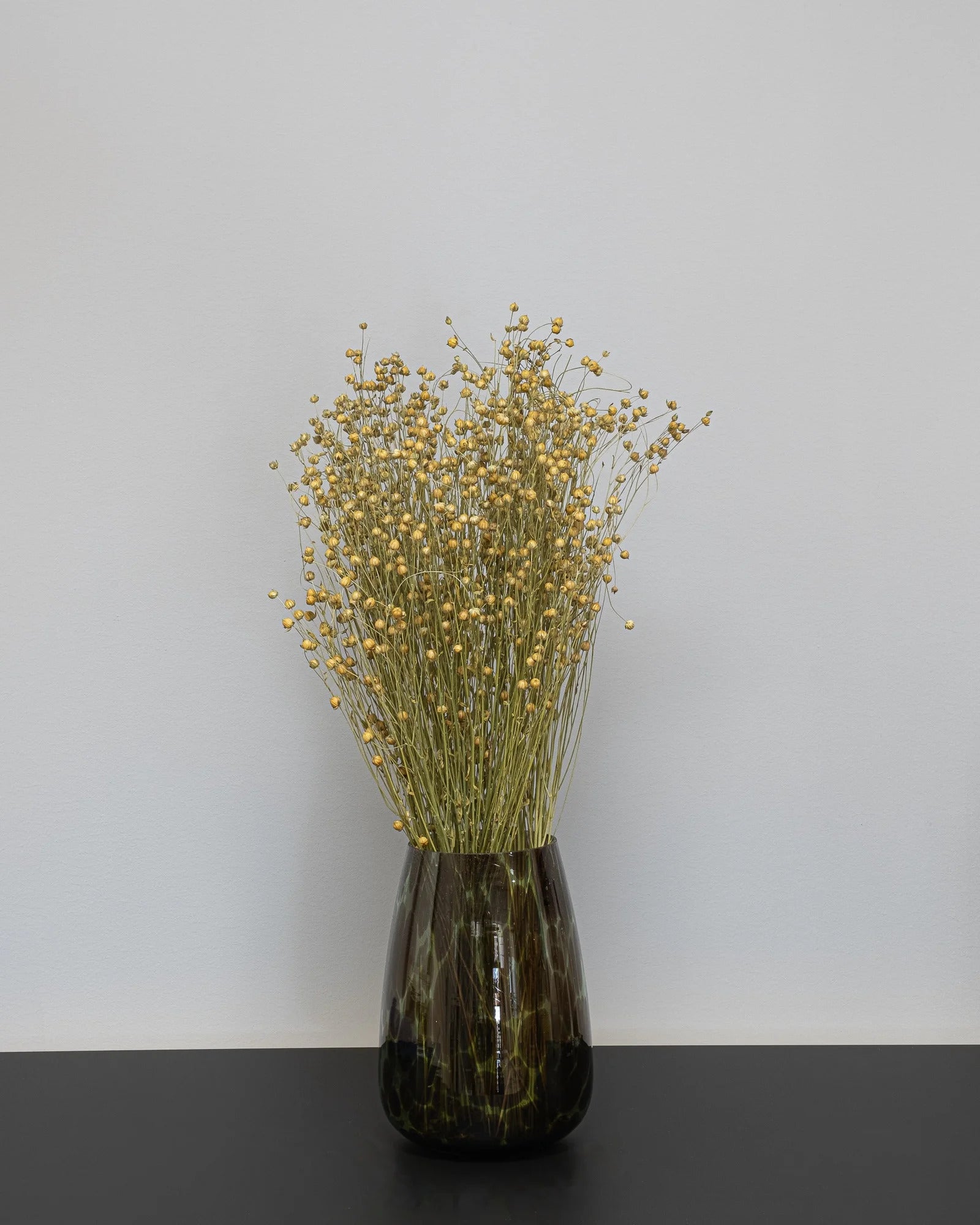 Lin naturell – torkade blommor 40–50 cm