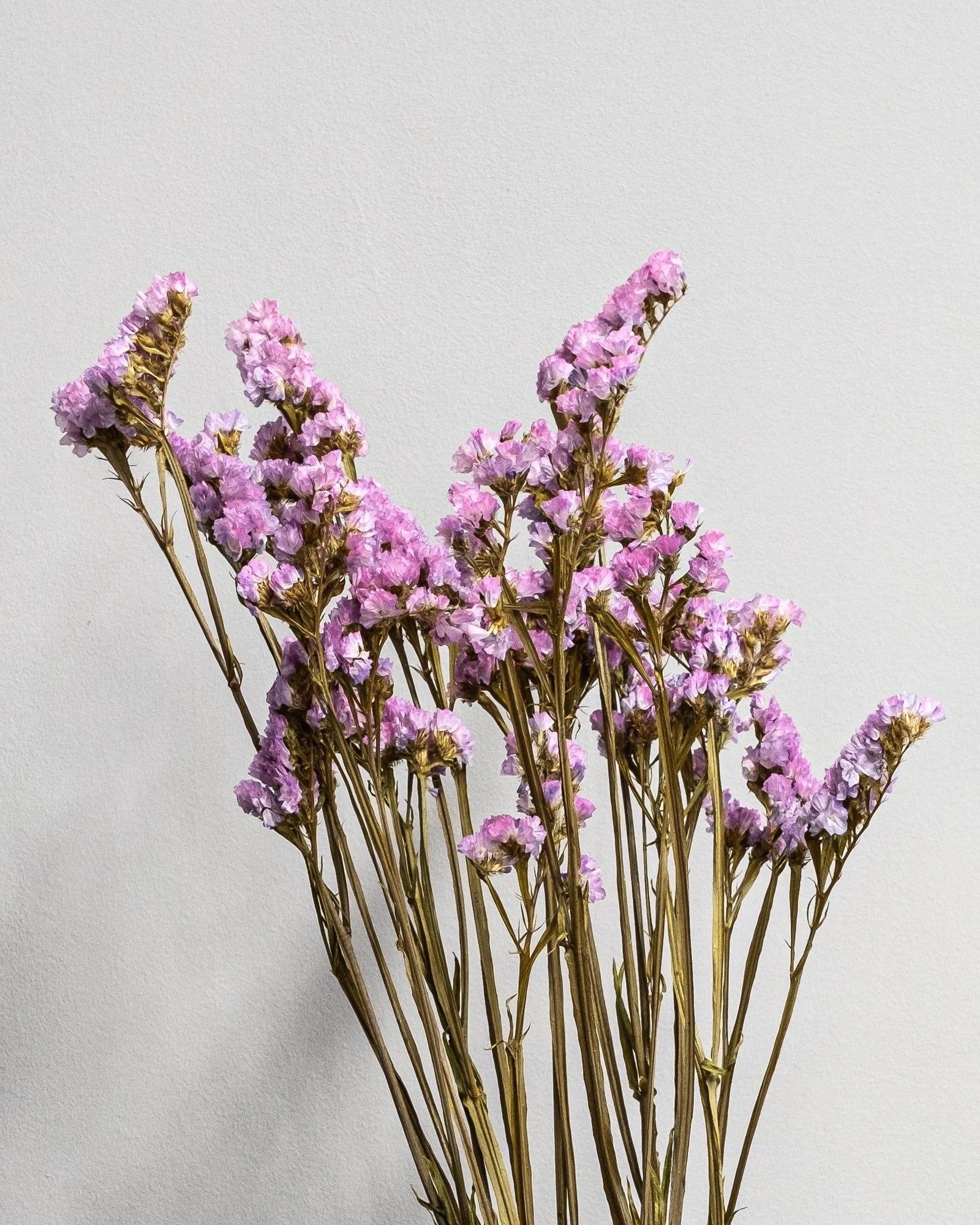 Risp/Statice Super som inslag i bevarade blomsterarrangemang