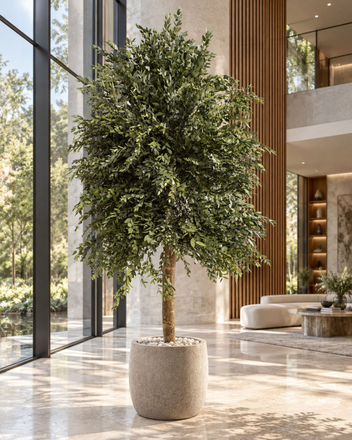 Säilötty Eucalyptus Parvifolia – Slim