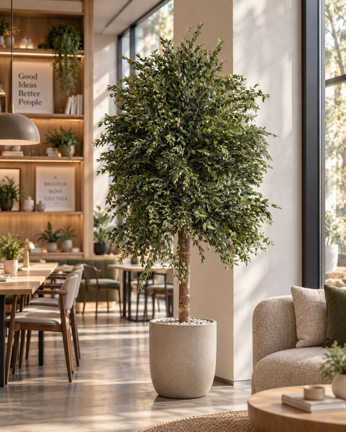 Preserved Eucalyptus Tree Parvifolia – Slim