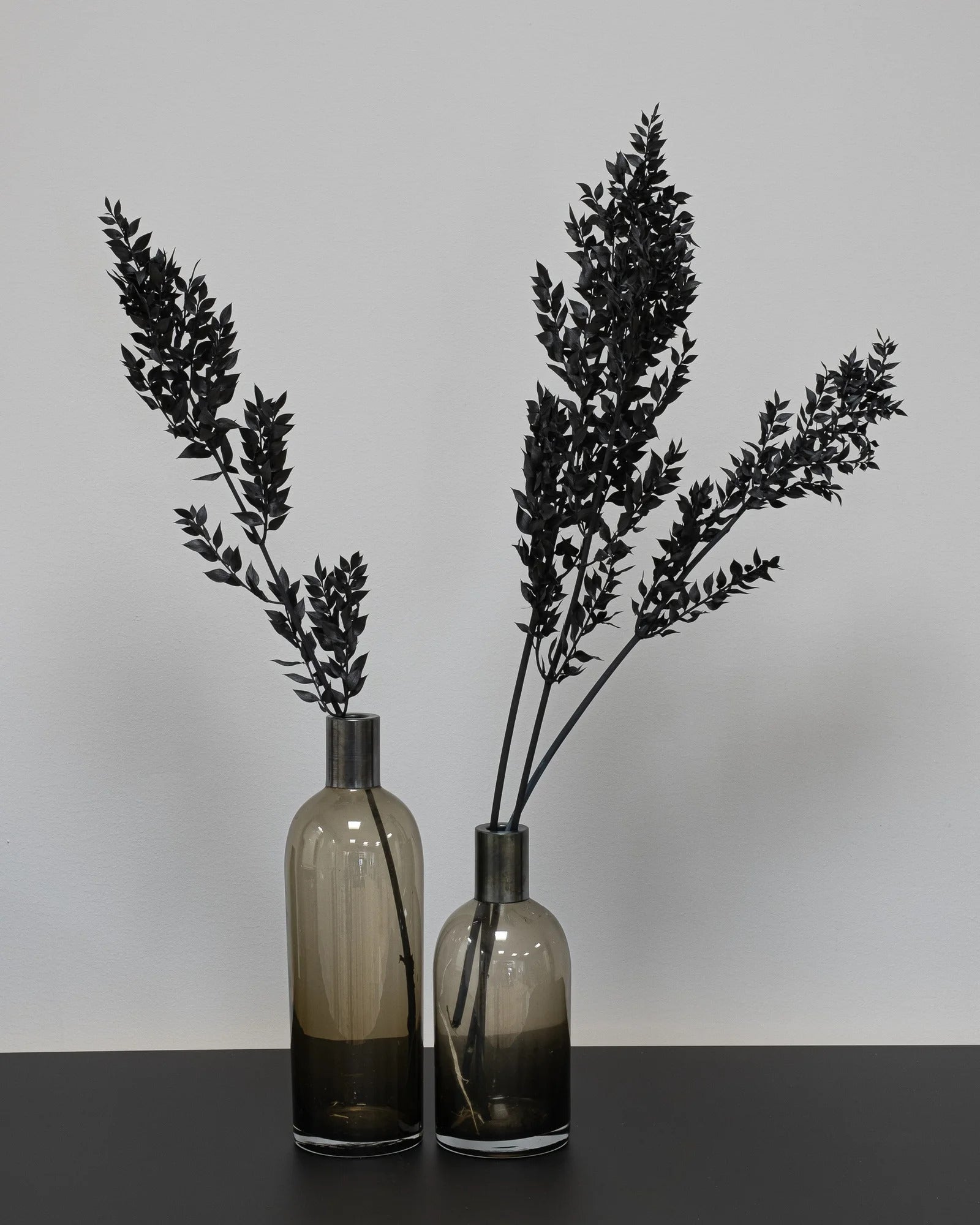 Torkad Ruscus 5 st., ca 70 cm