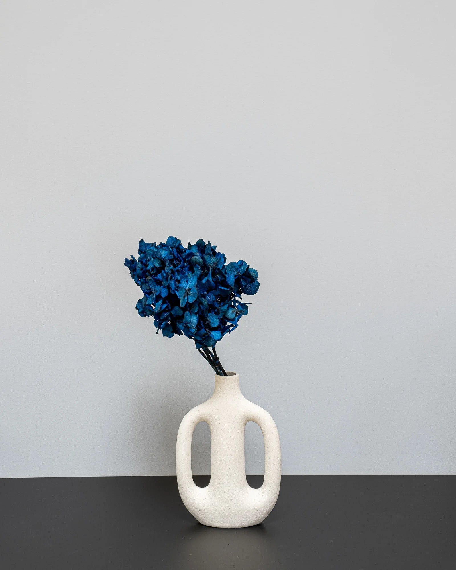 Hortensia Standard för långvarig blomsterdekoration