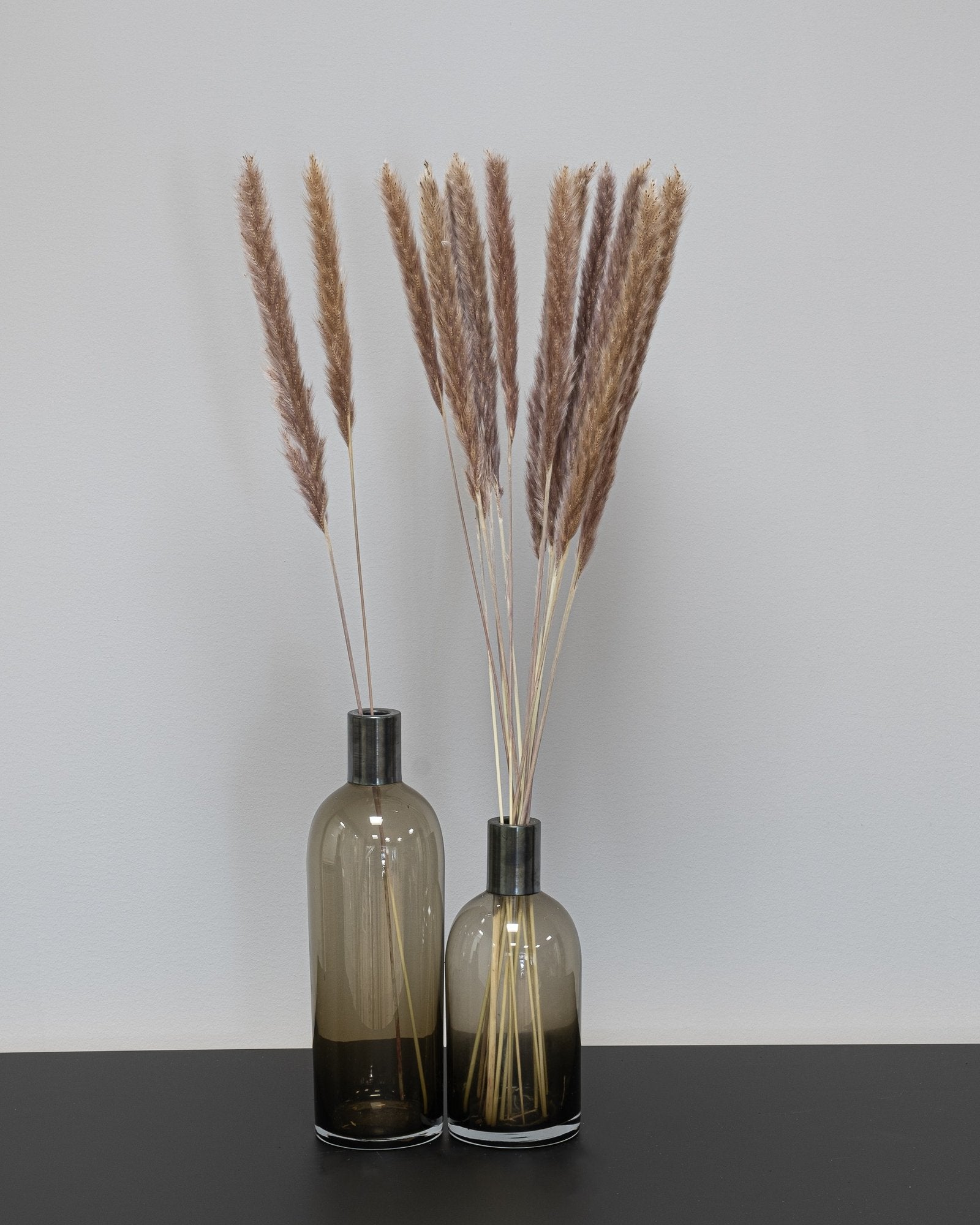 Mini Pampasgräs – 10 st. 70 cm i Vit