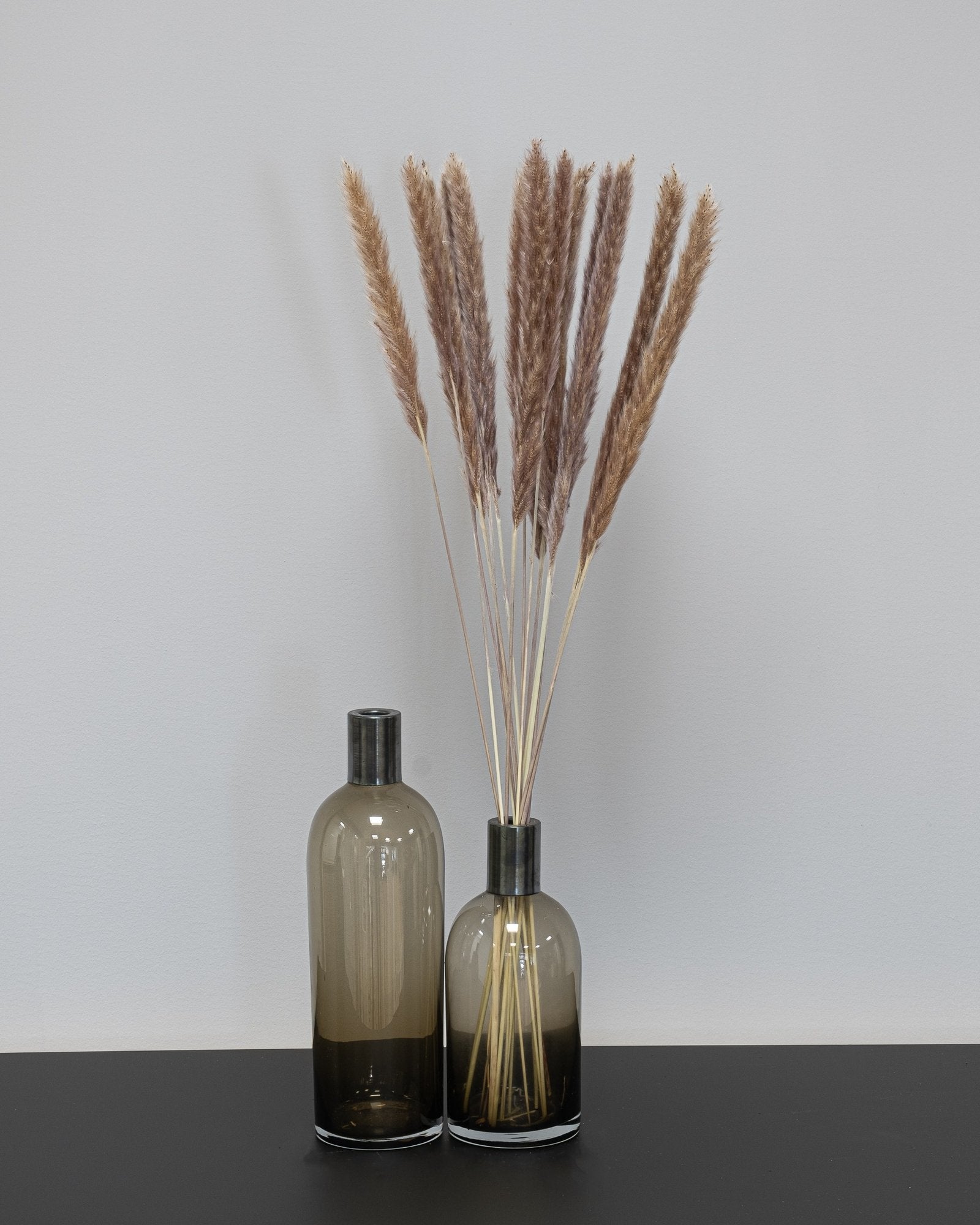 Mini Pampasgräs – 10 st. 70 cm, ca 70 cm, 10 stycken