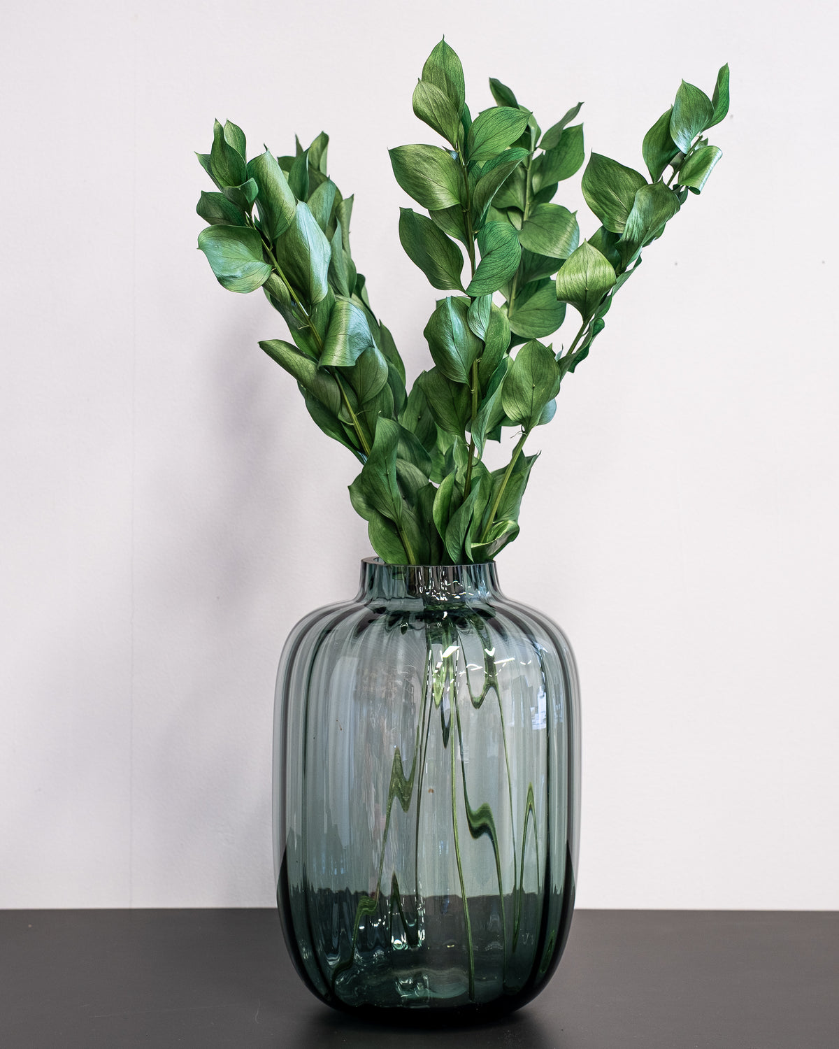 Ruscus Giant Bleached White – Preserved Plant