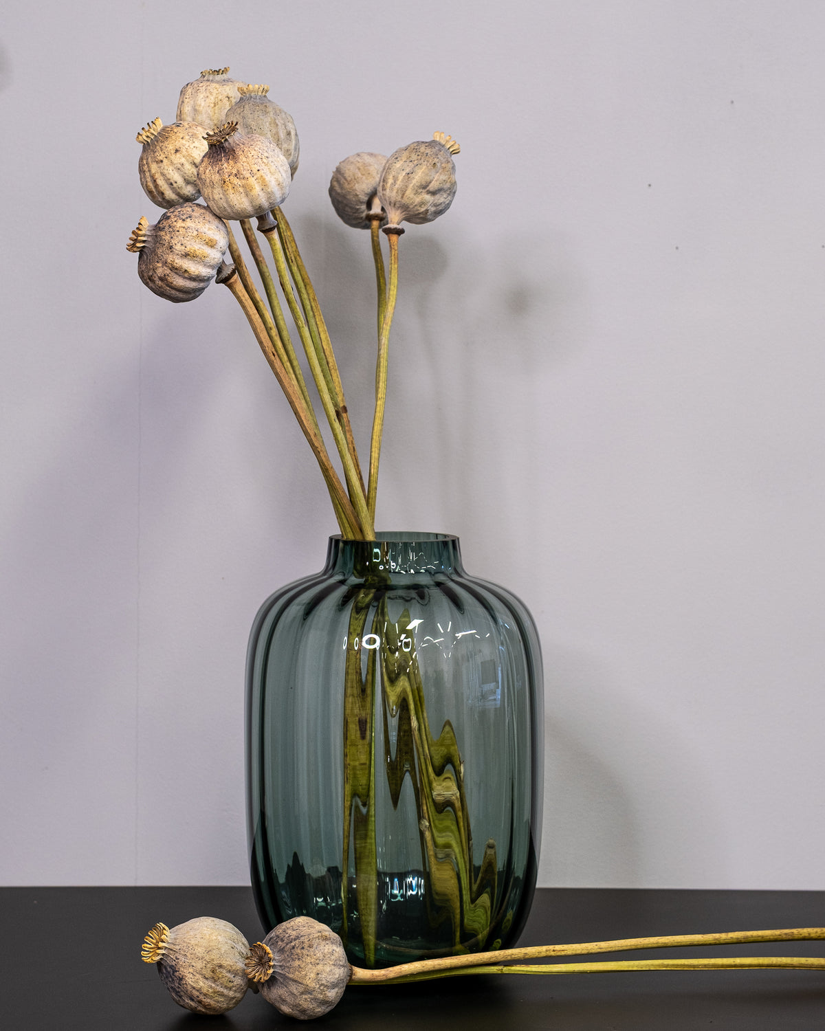 Dried Giant Poppy Pods, 10-Pack