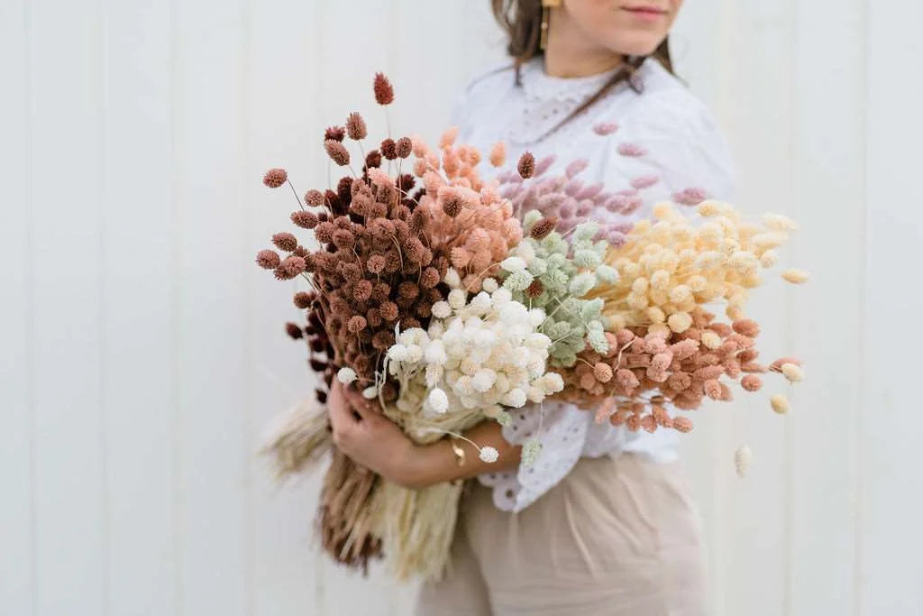 Vad är torkade blommor och växter? 8 viktiga saker du måste veta