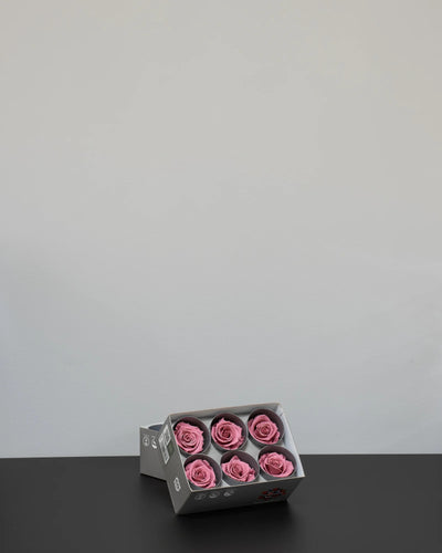 Evighetsros 6 st för dekorativ styling i inomhusmiljö i rosa