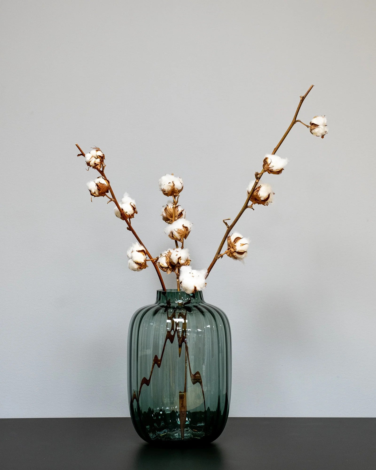 Närbild på torkade blommor i Bomullskvistar Naturell 7-8 bollar