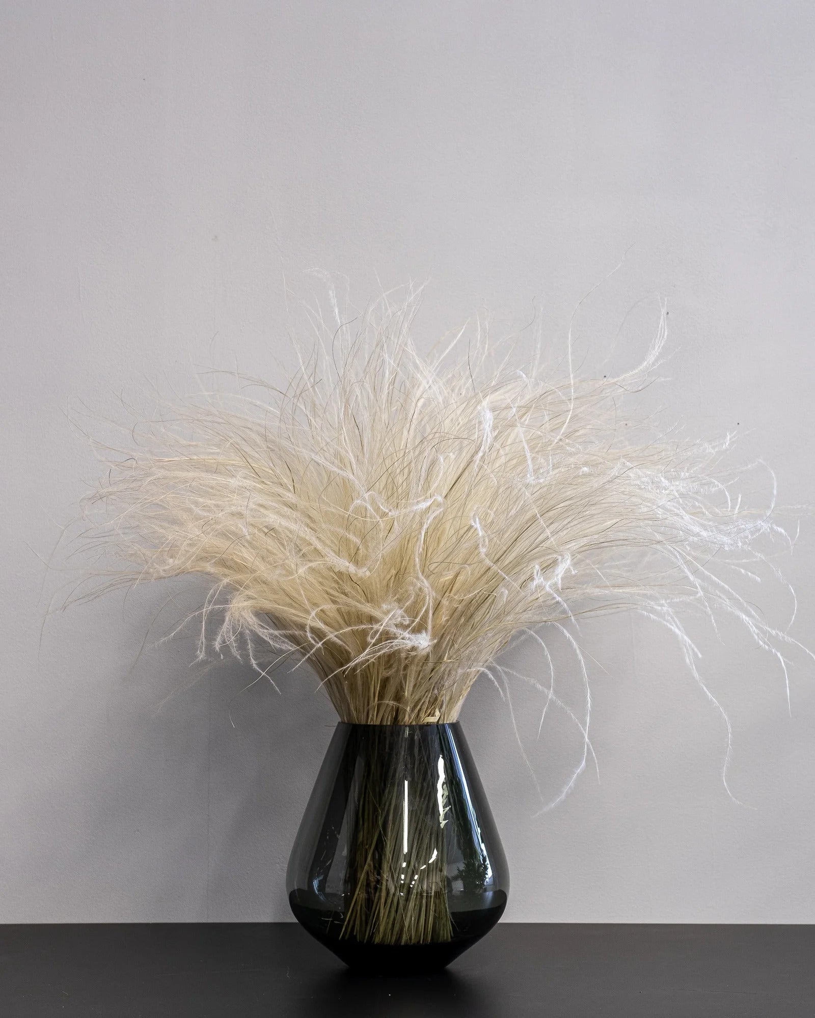 Torkat fjädergräs Stipa Pennata