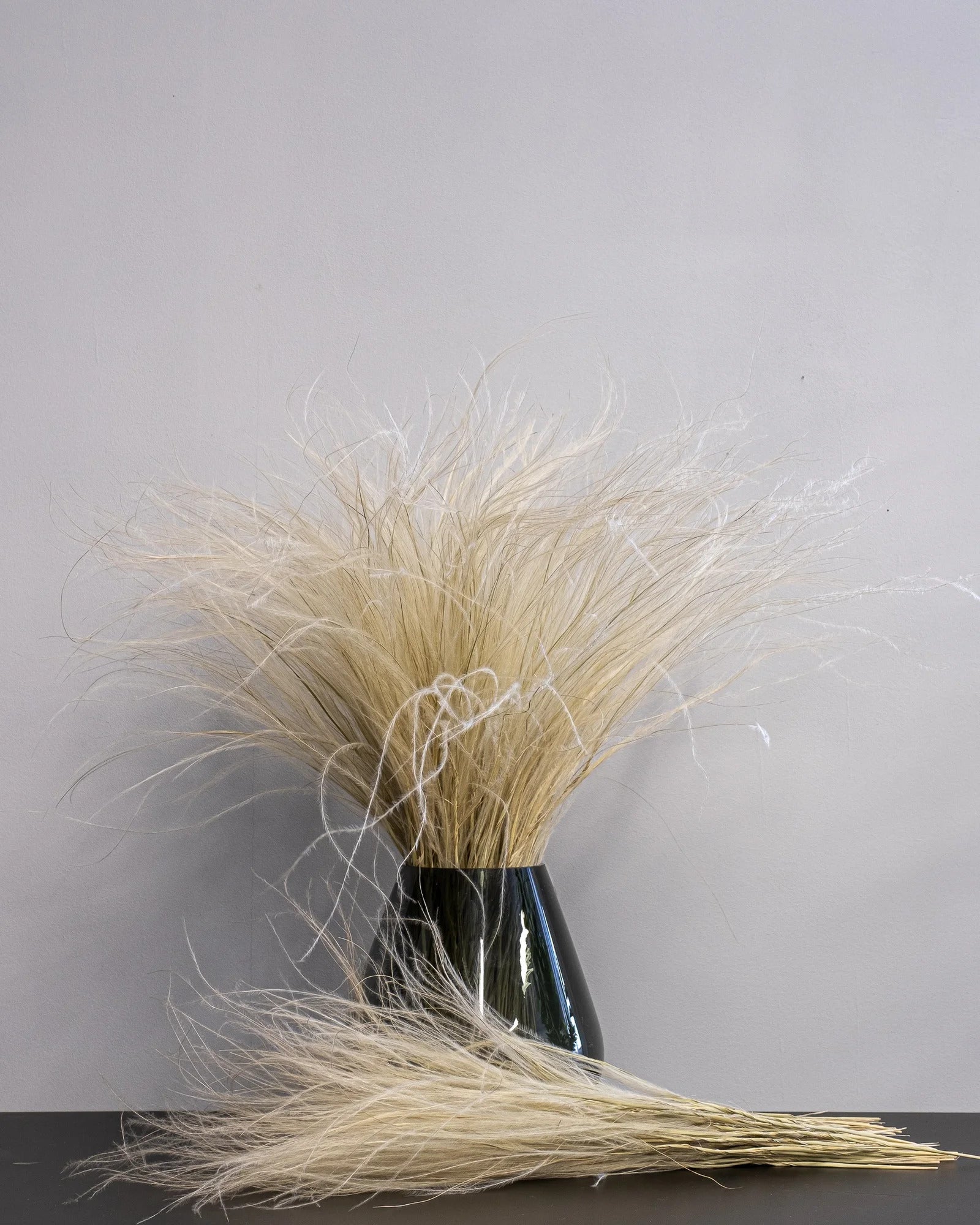 Fjädergräs Super – (Stipa Pennata) Naturell som vasdekoration för hem och inredning