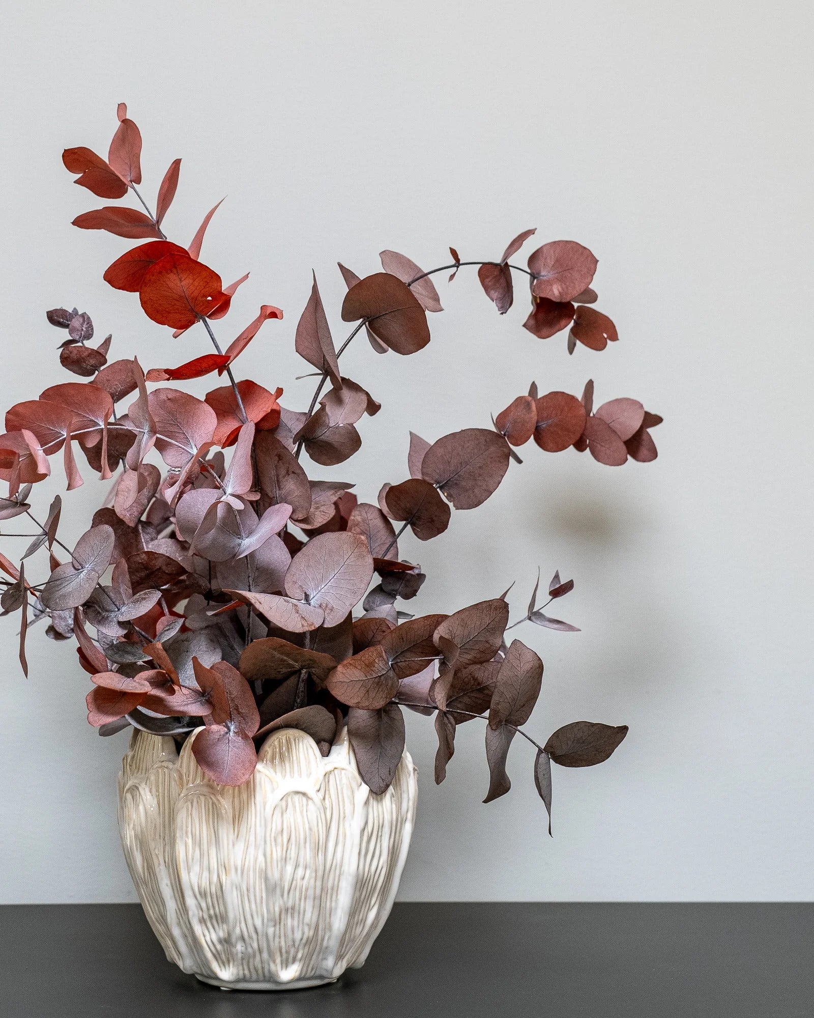 Konserverad Eucalyptus Cinerea krukväxt – konserverad krukväxt från Forever Flora