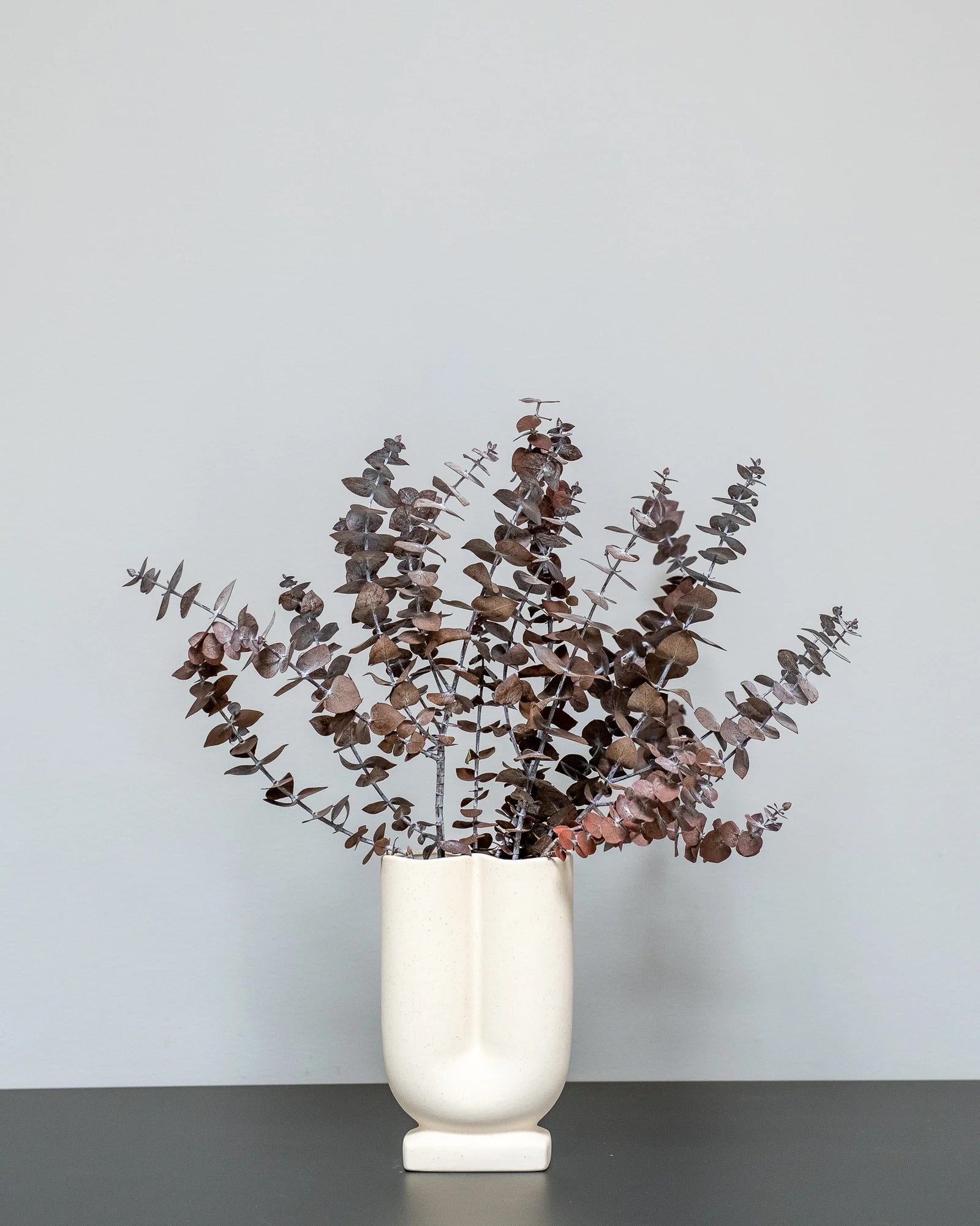 Eucalyptus Baby Blue för växtinredning och arrangemang