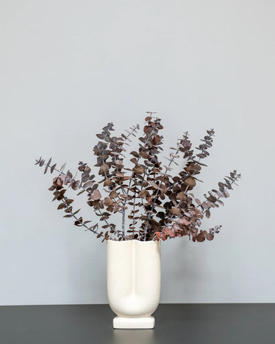 Eucalyptus Baby Blue för växtinredning och arrangemang