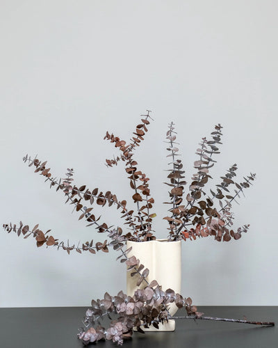 Eucalyptus Baby Blue som dekorativ produkt från Forever Flora
