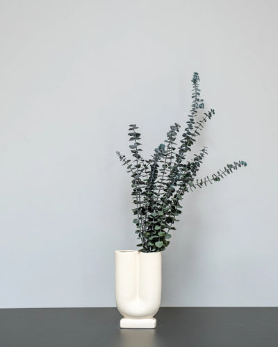Eucalyptus Baby Blue för dekorativ styling i inomhusmiljö