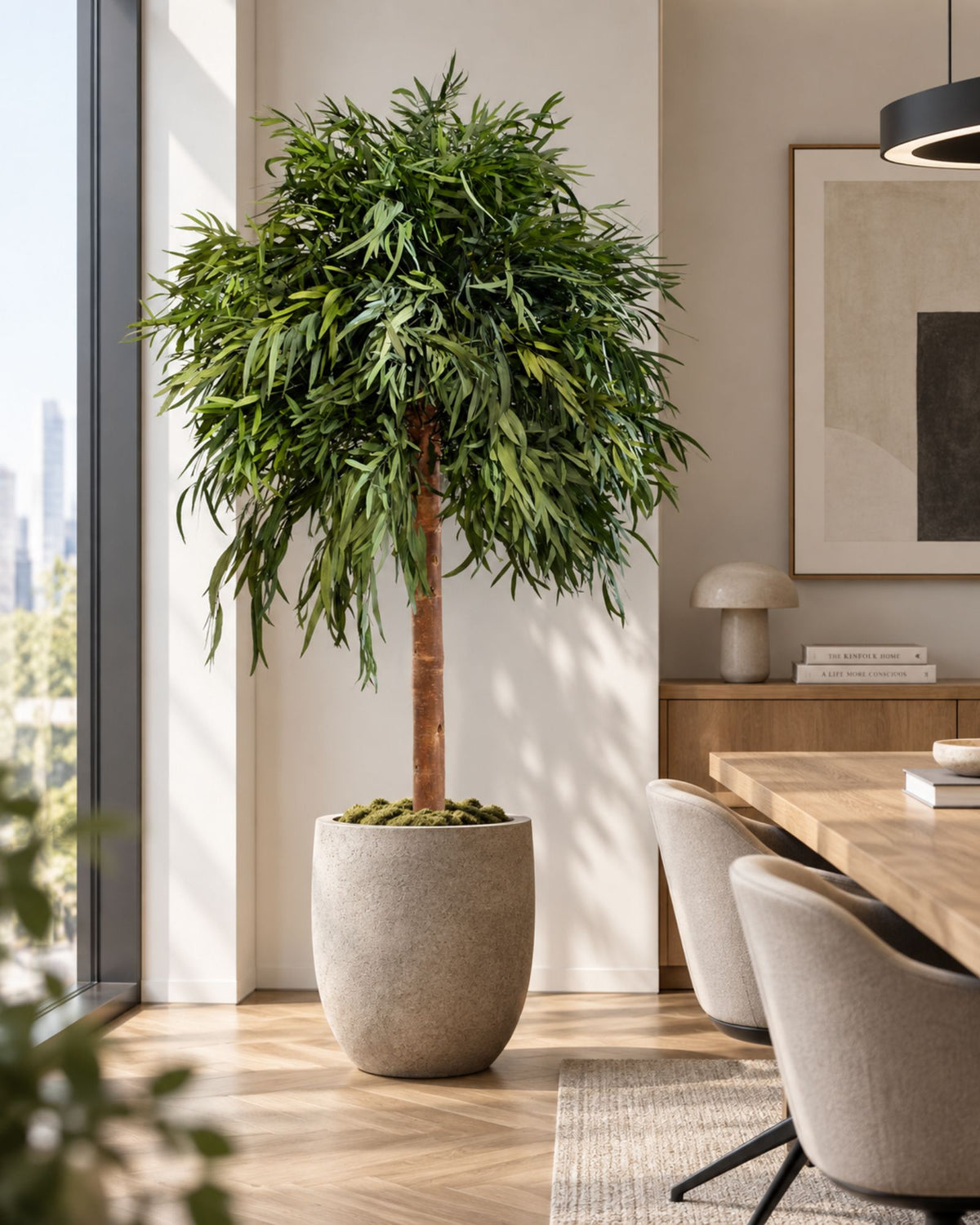 Säilötty Eucalyptus Nicoli – Latvus