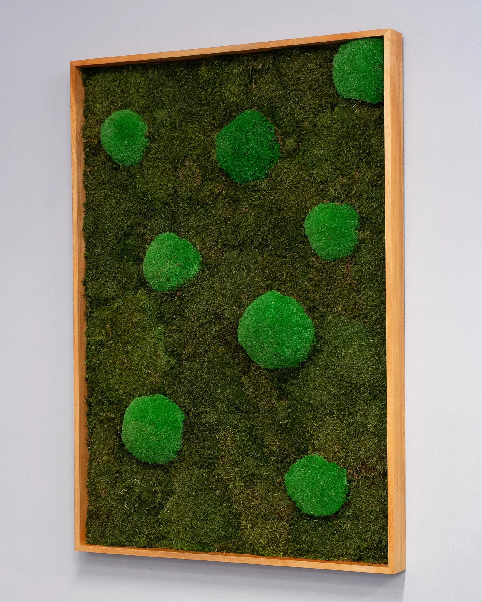 Detaljerad vy av Kvadratisk mosstavla mix med mossplatta och bollmossa med naturlig mossstruktur – 110×110 cm