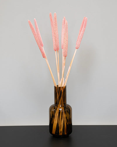 Babala – torkade blommor 8 st., ca 60 cm