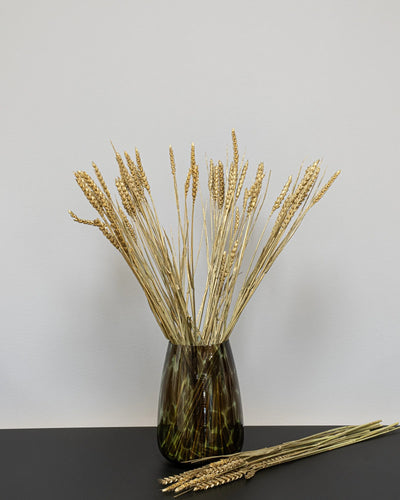 Vete – torkade blommor 50–60 cm i Guld