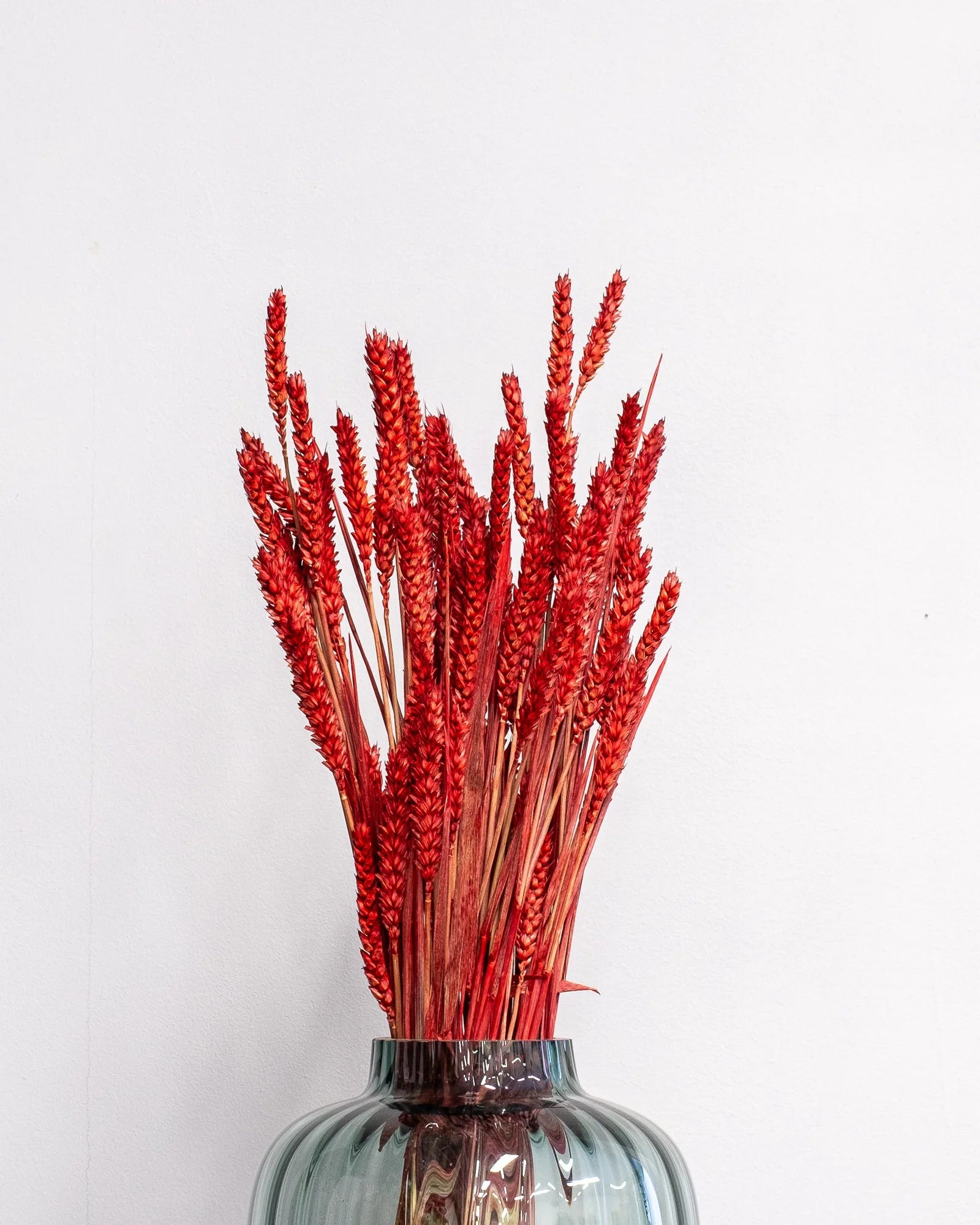 Vete som dekorativ produkt från Forever Flora – 1382 vete rod 1