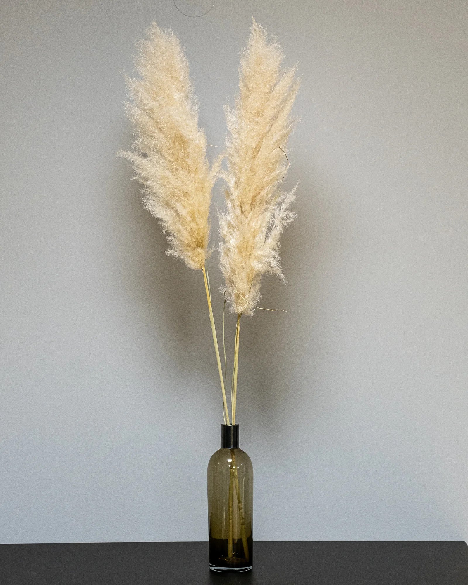 Fluffigt Pampasgräs Super 110–120 cm, 1 eller 3 stjälkar