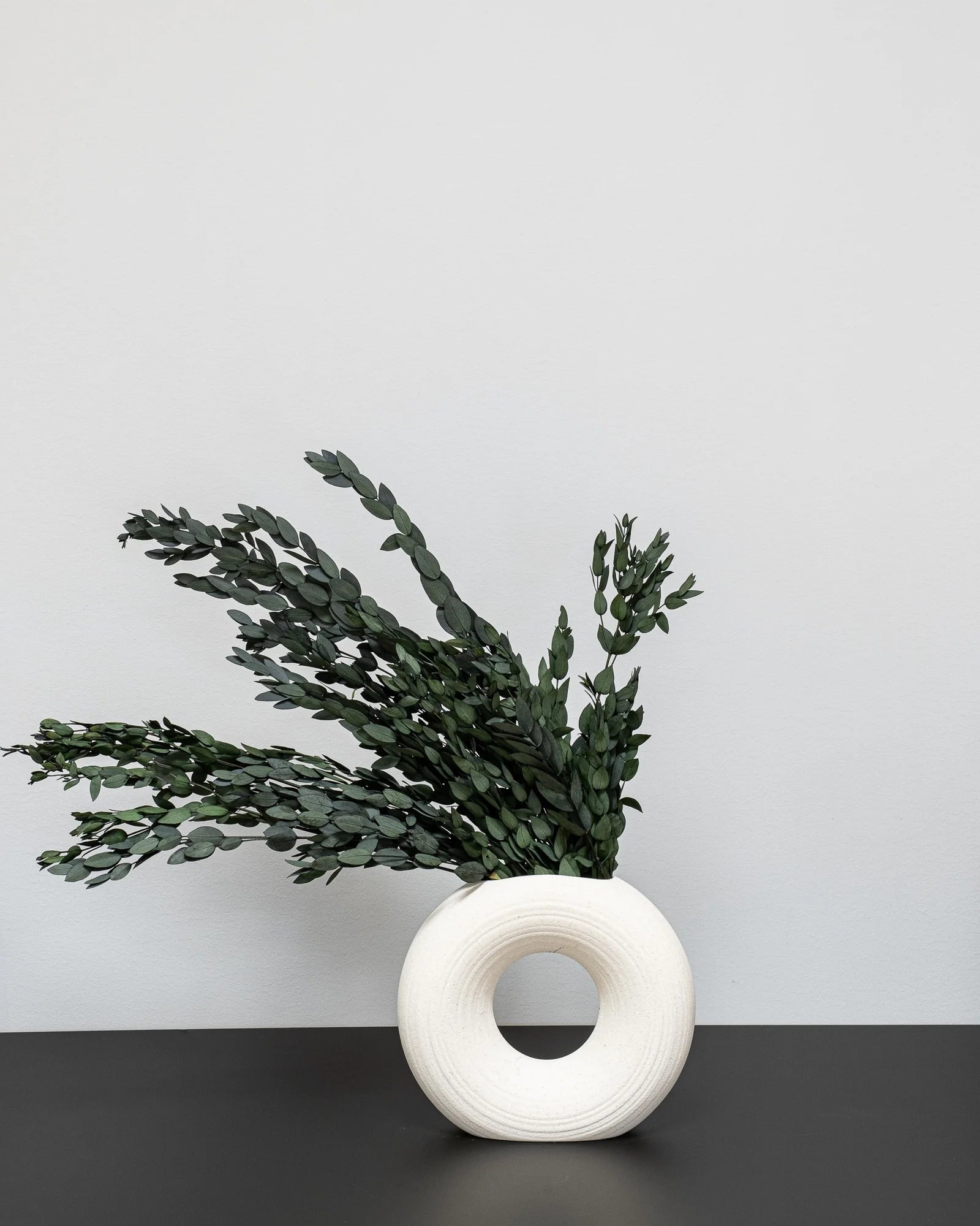 Närbild på detaljerna i Eucalyptus Parvifolia