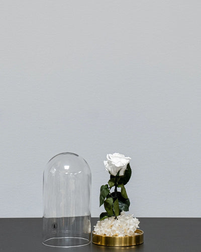Detaljbild av Roskupa med Evighetsrosor och Hortensia